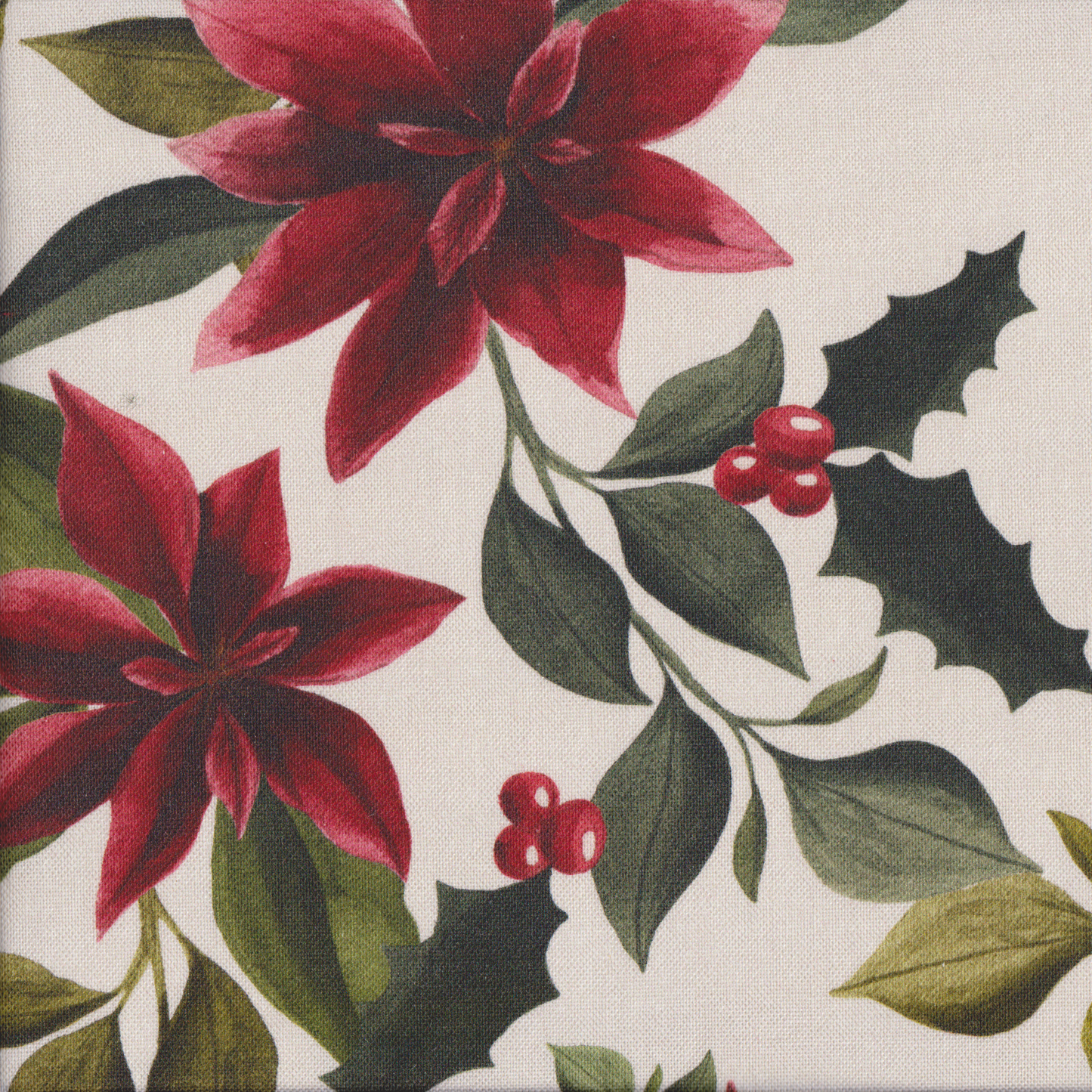 Canvas Estrelas de Natal