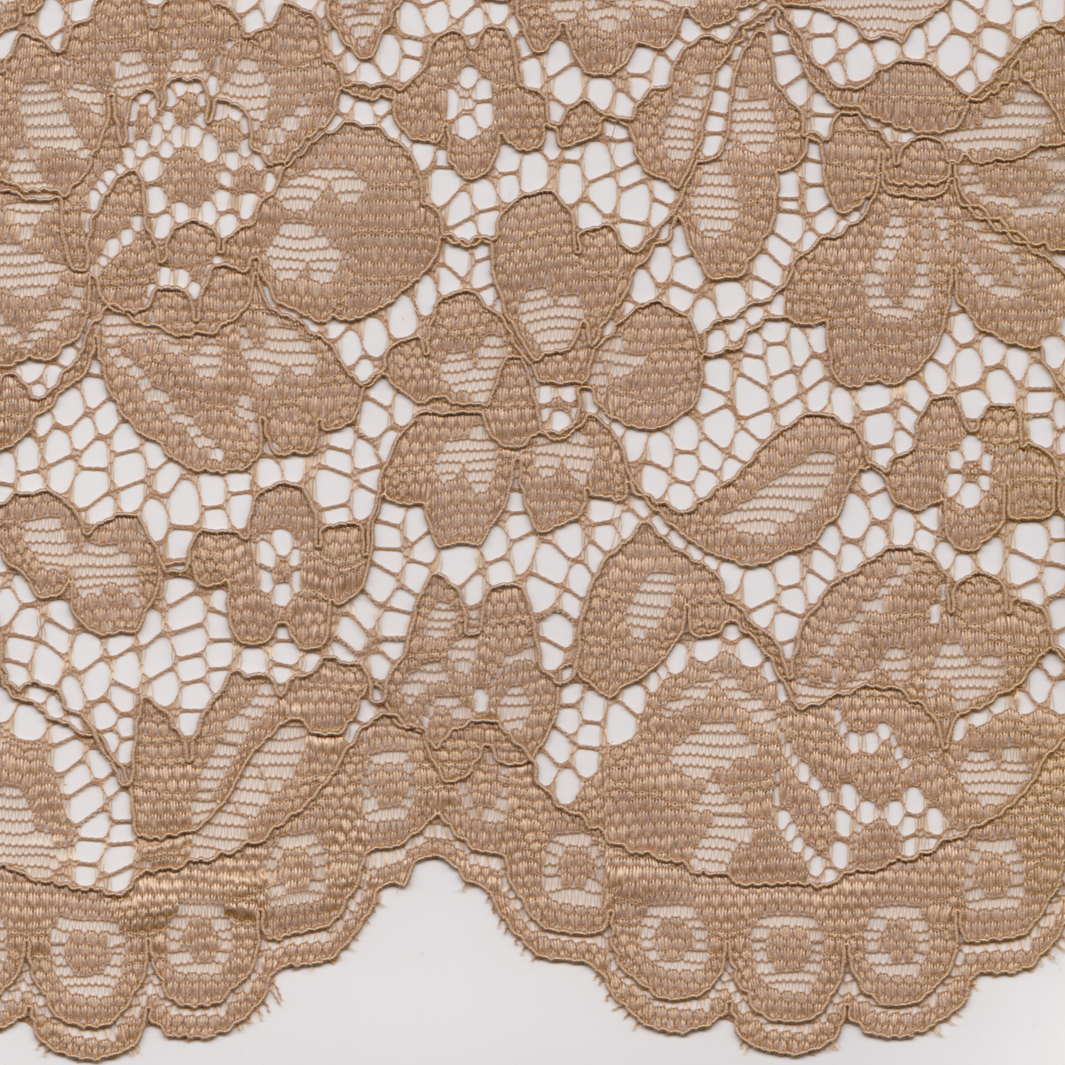 Renda Camel