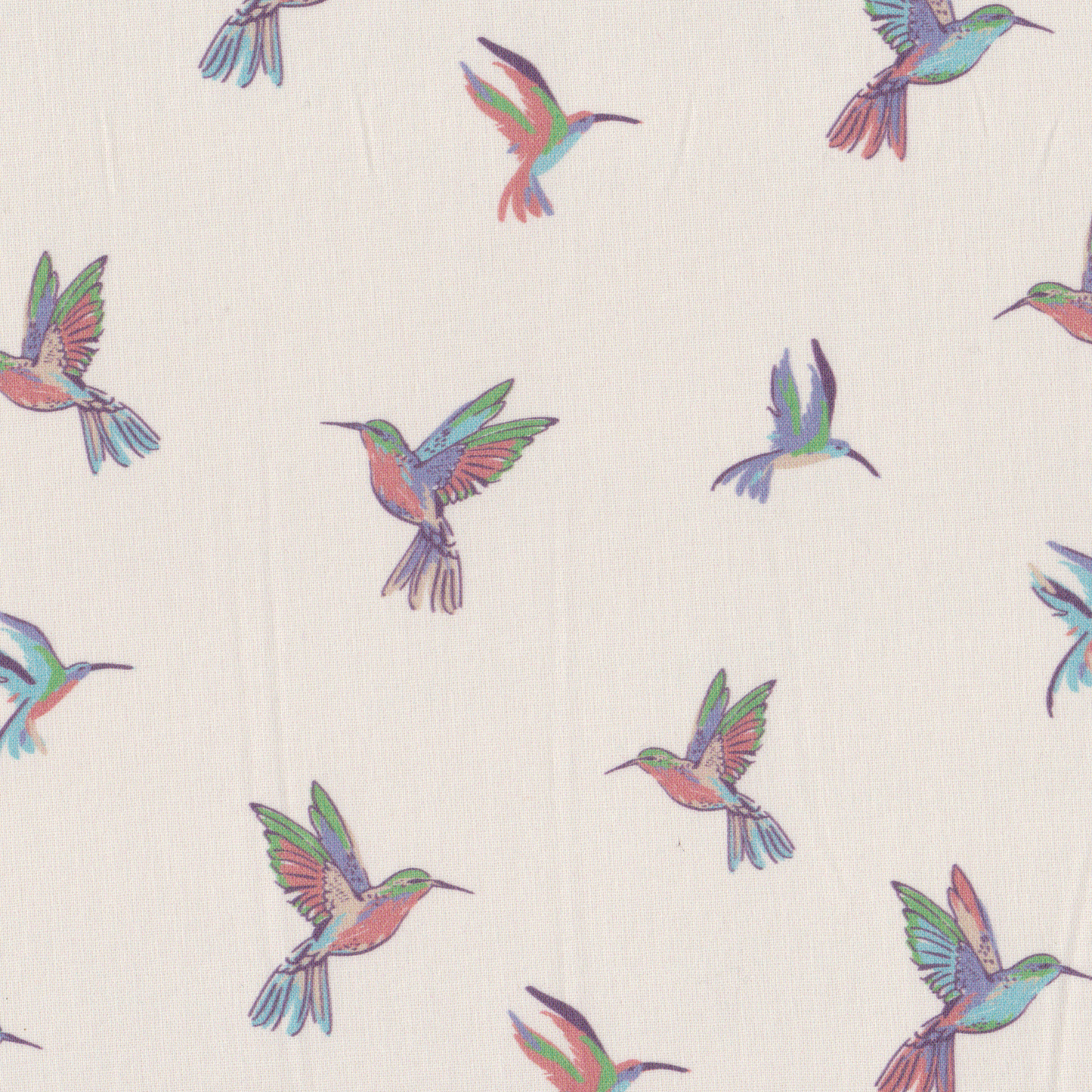 Poplin Colibri