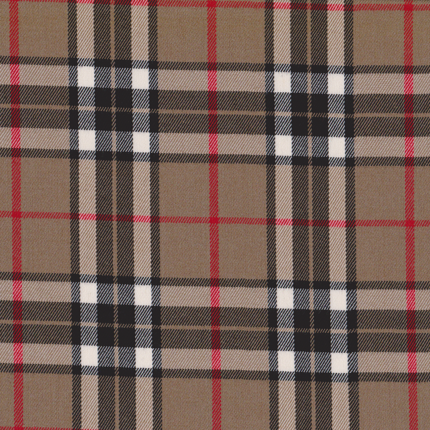 Tartan Camel
