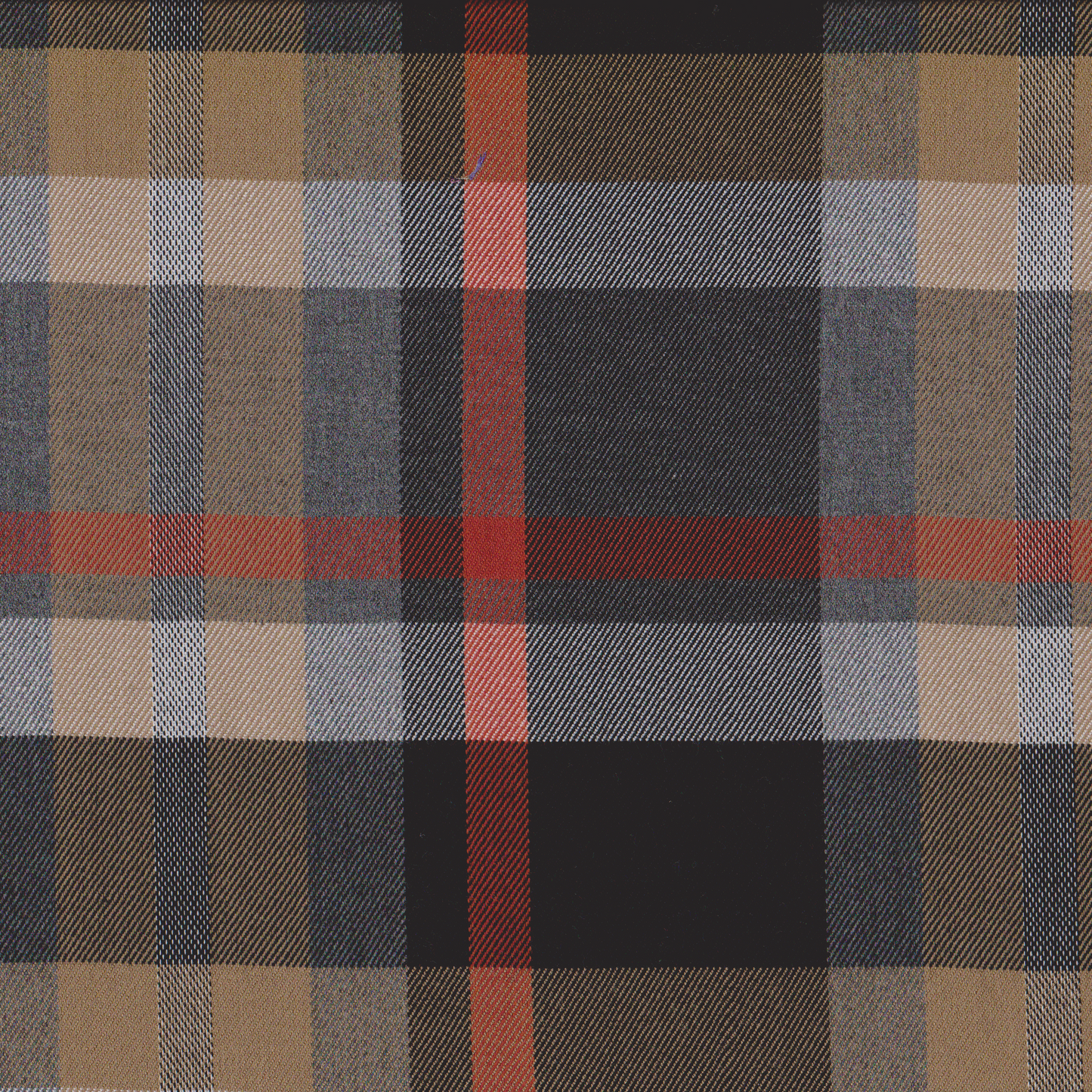 Tartan Castanho