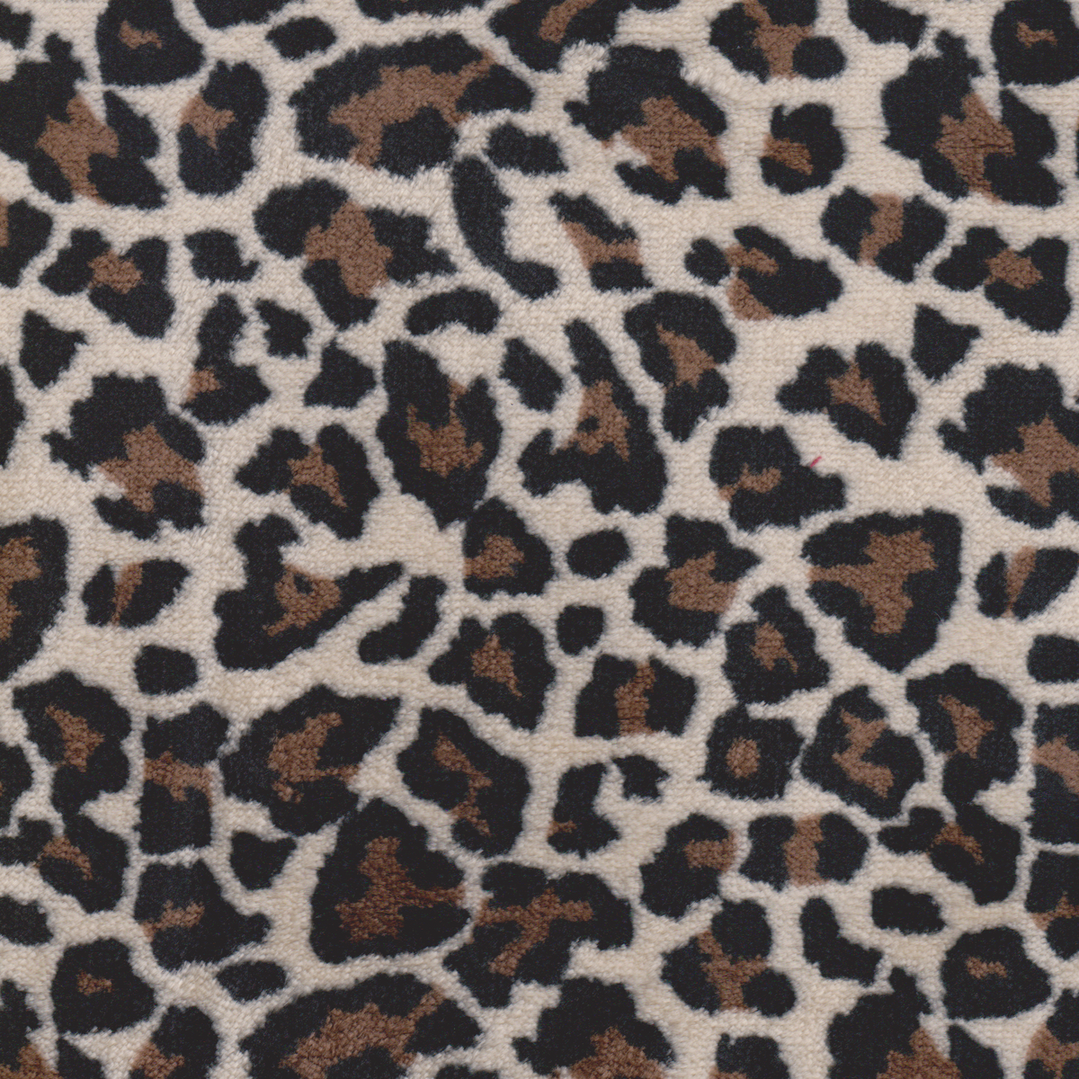 Coralina Print Animal
