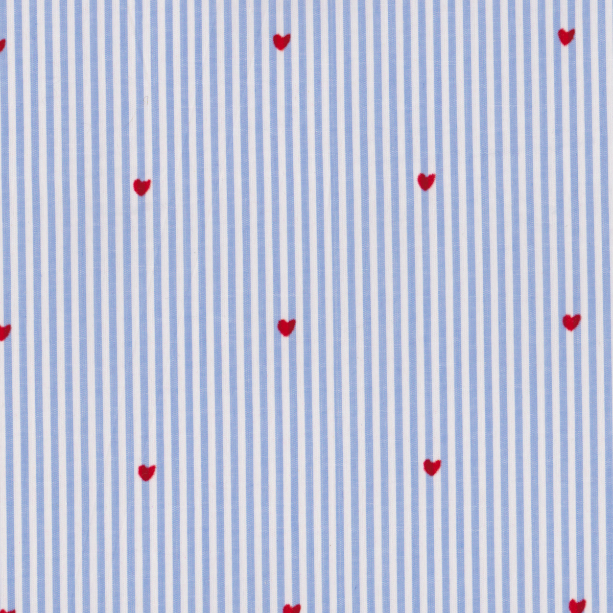 Poplin Yarn Riscas Azul com Corações
