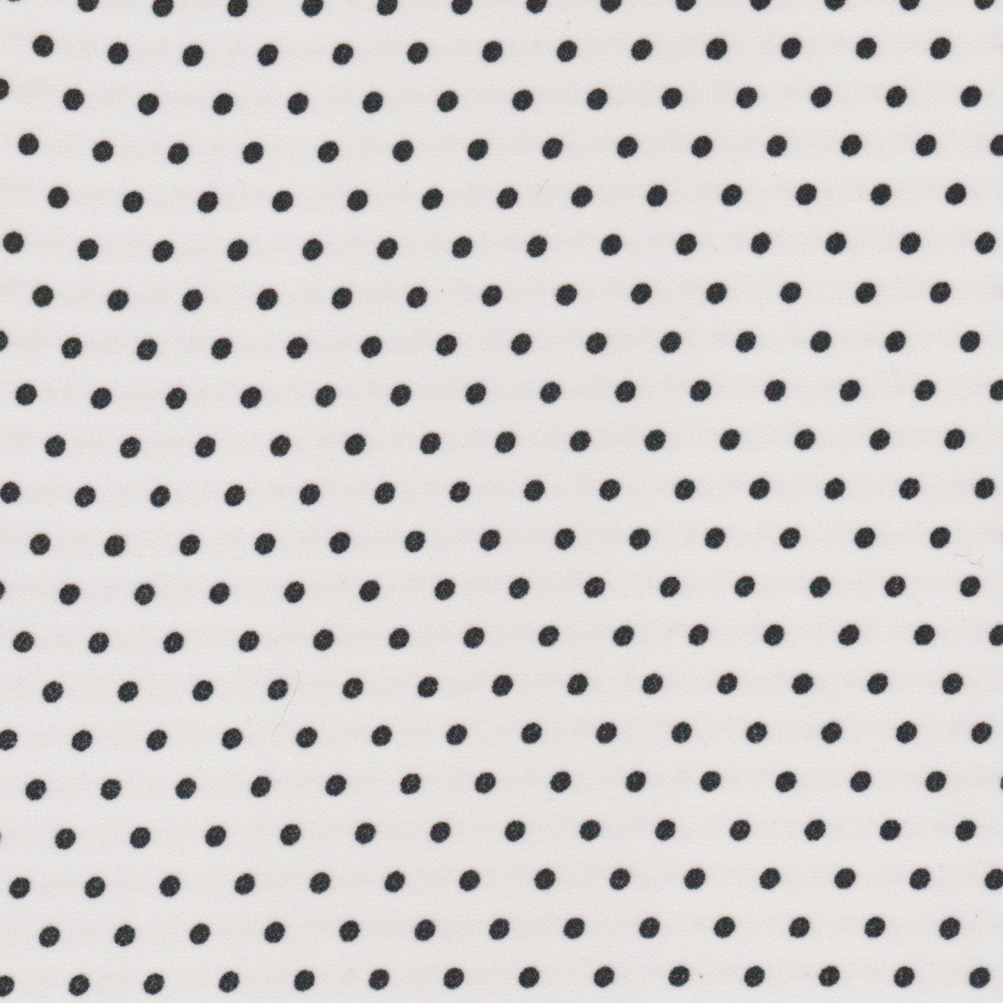 chiffon Branco Pintas Preto