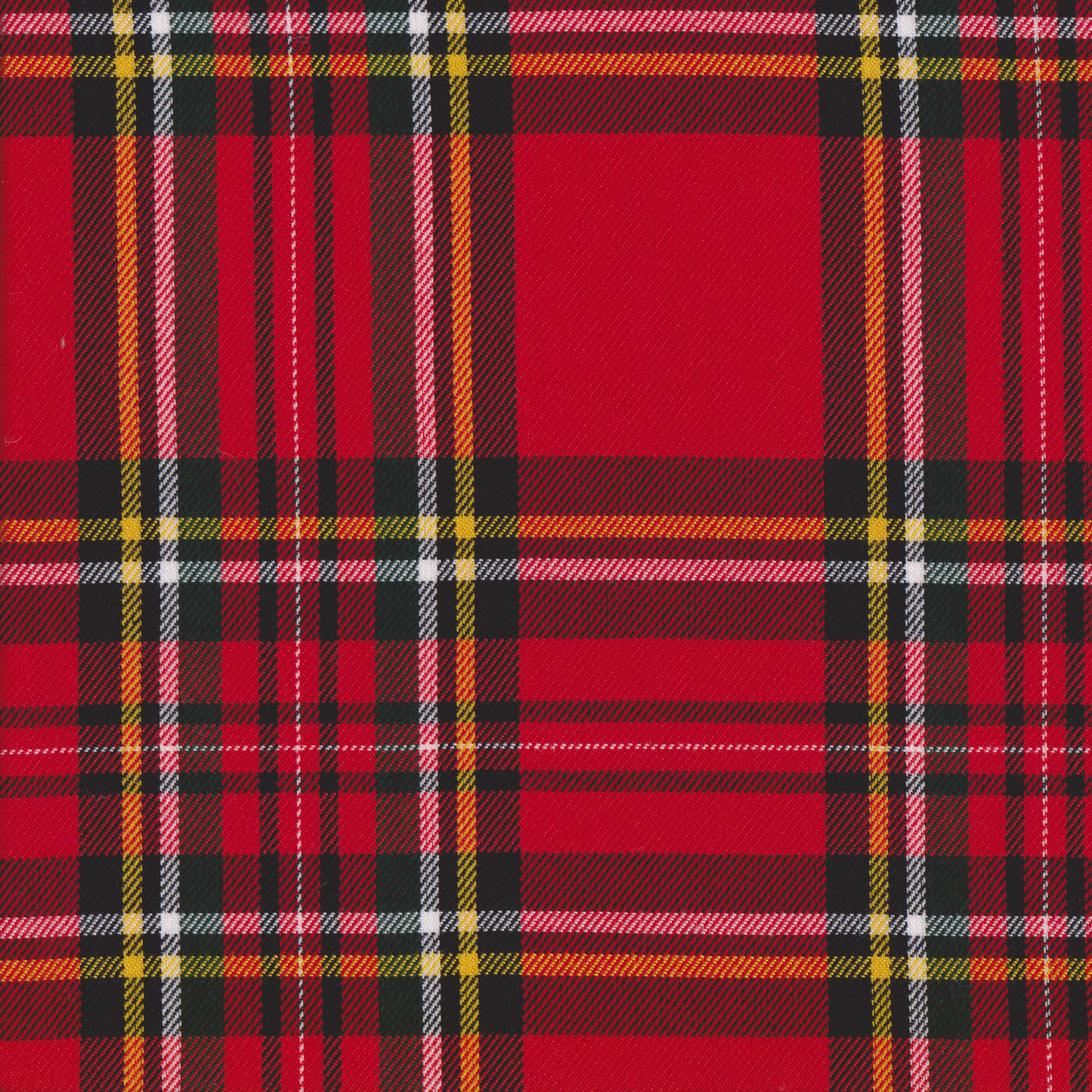Escocês Grande Vermelho