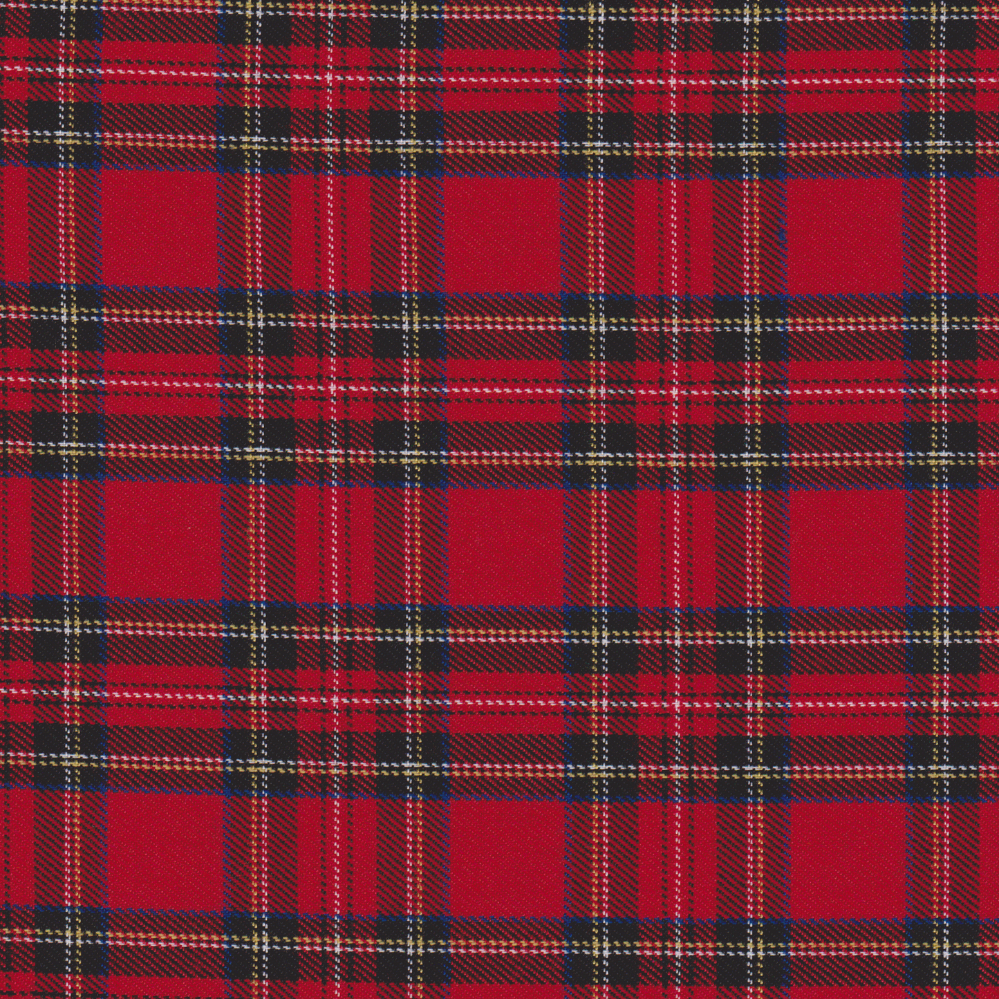 Escocês Pequeno Vermelho