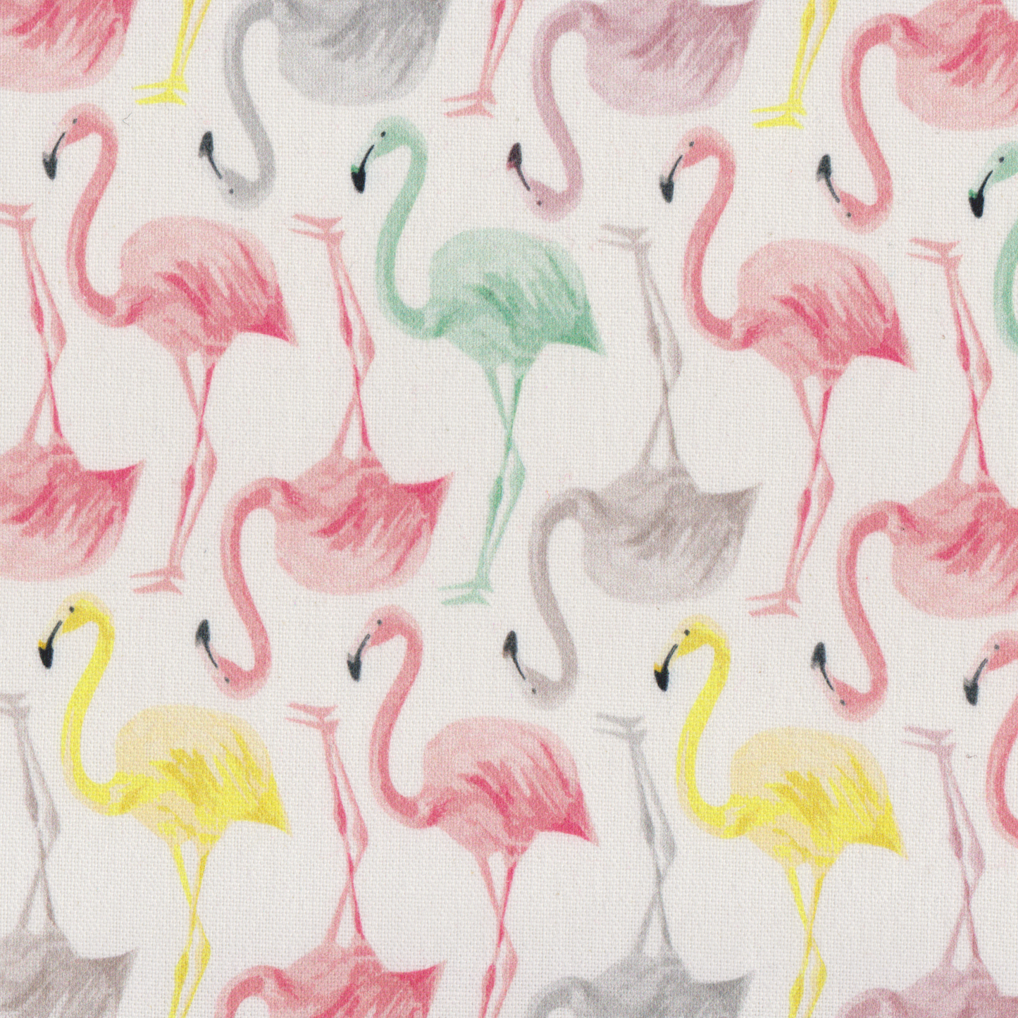 Canvas Flamingos