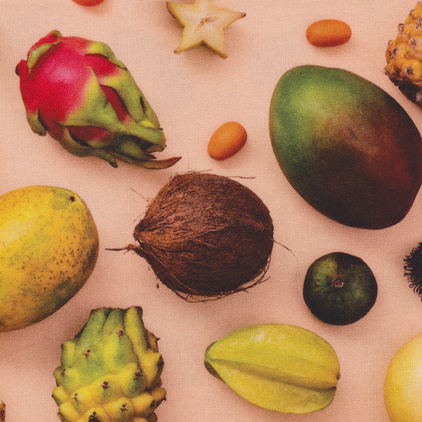 Canvas Frutos Tropicais