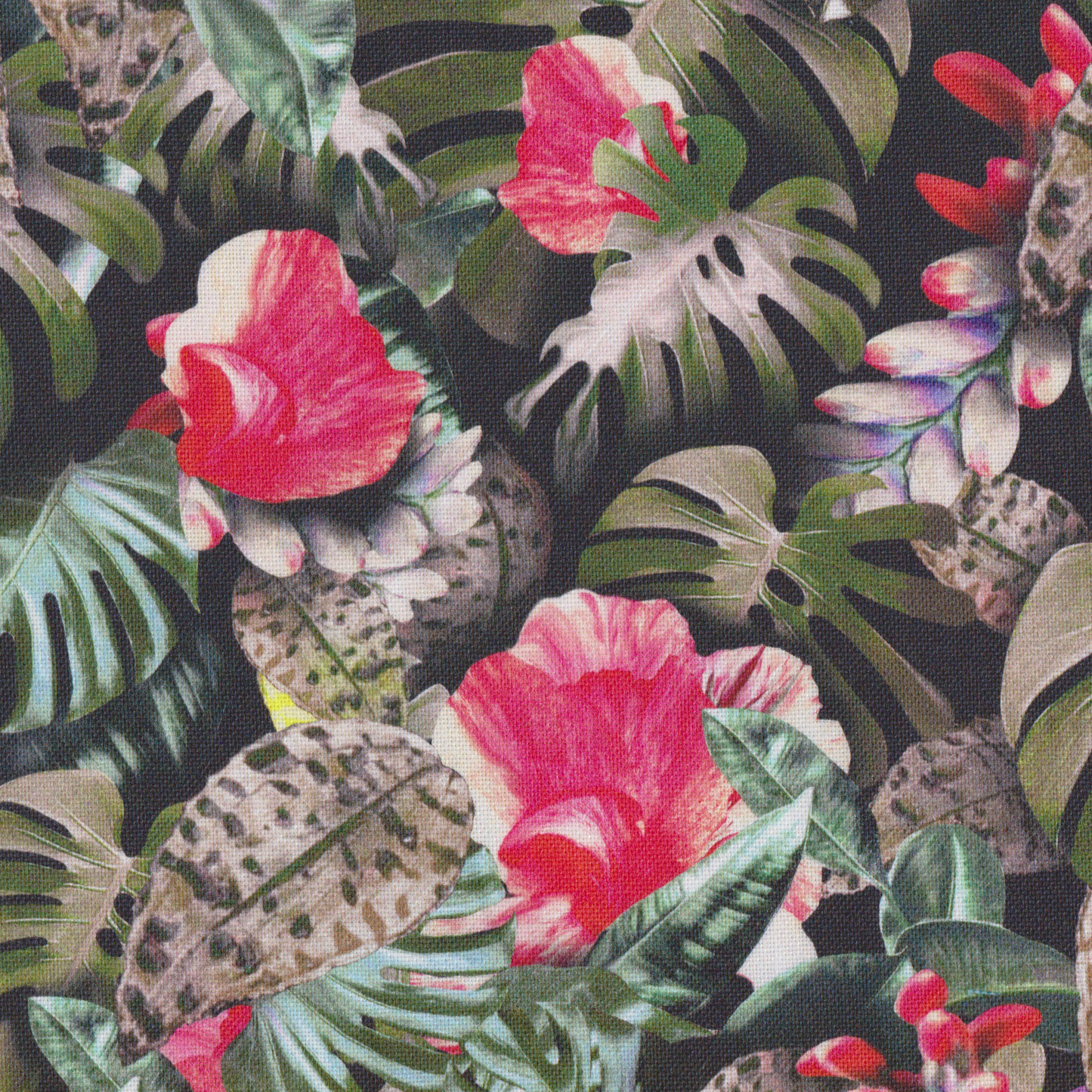 Canvas Topical Palmeiras