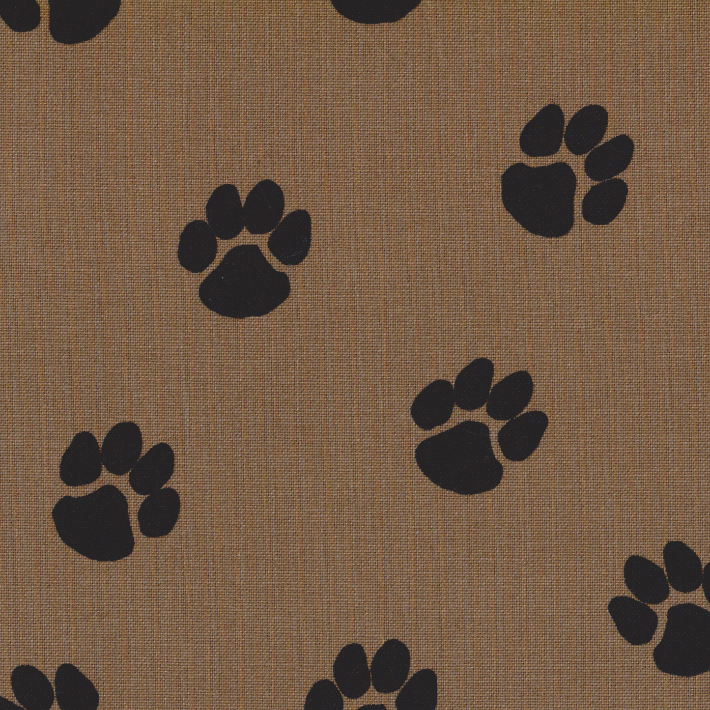 Canvas Patinhas Bege