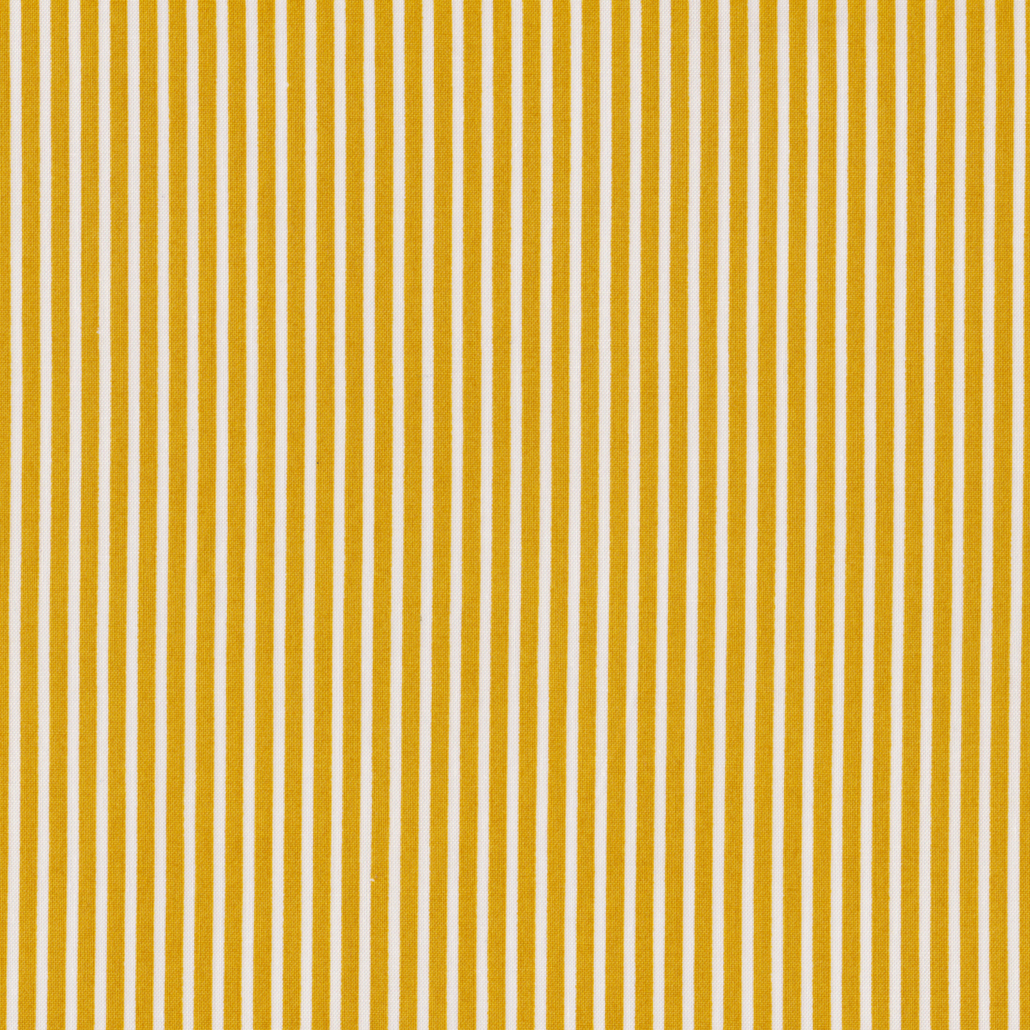 Poplin Riscas Amarelo Torrado