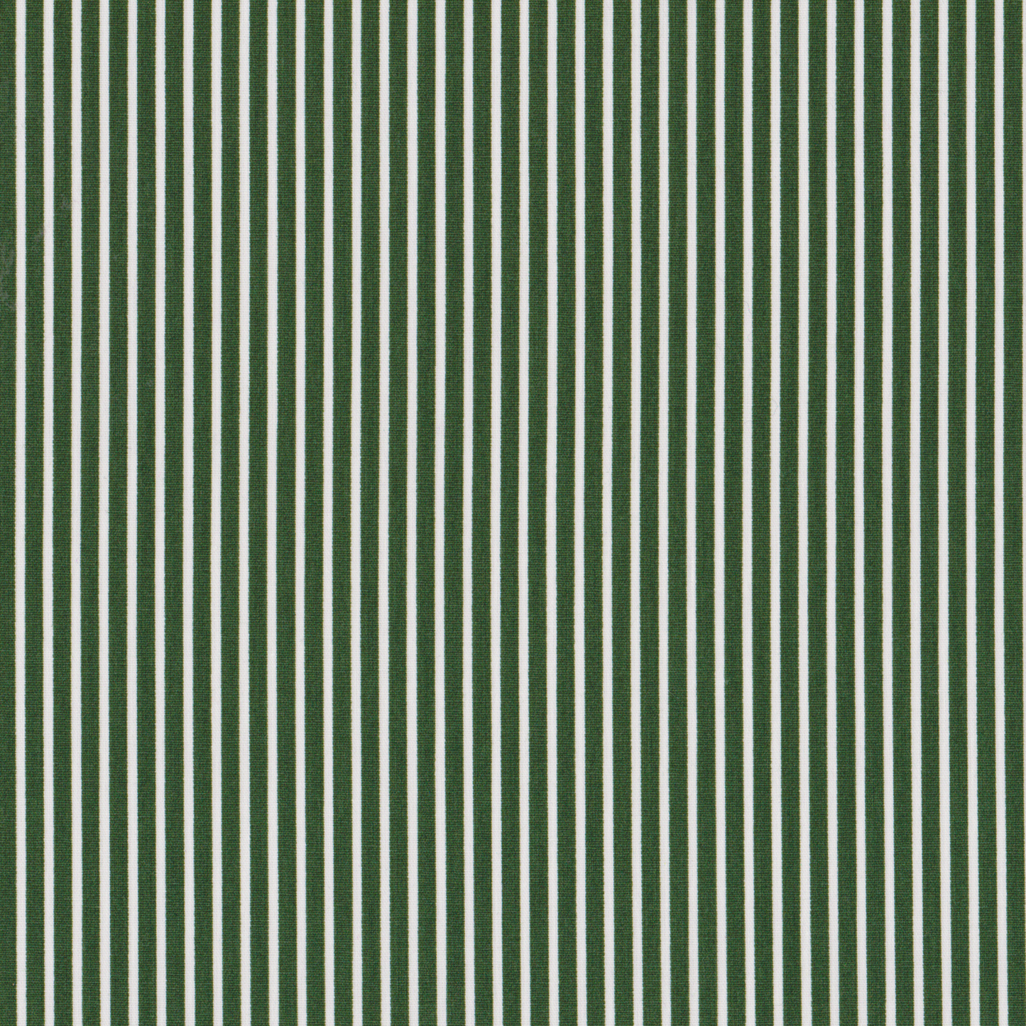 Poplin Riscas Verde Escuro