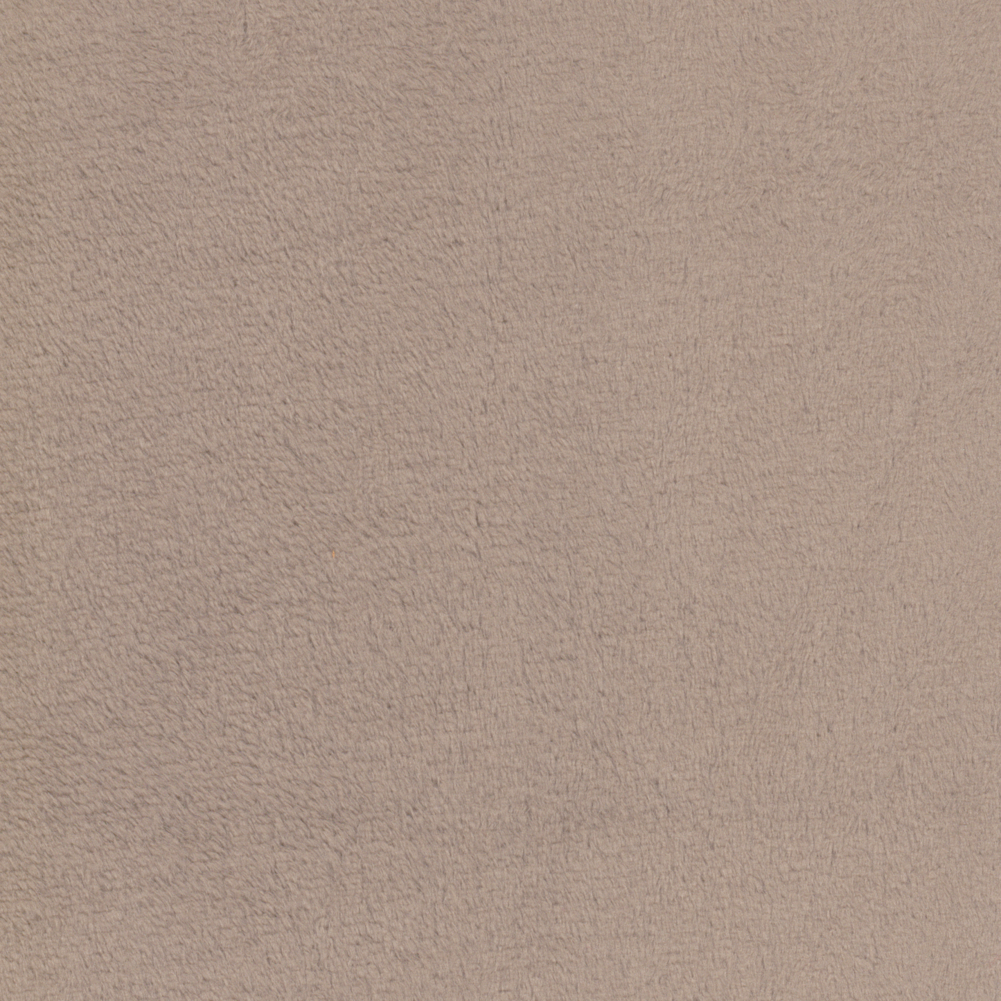 Coralina Bege Escuro