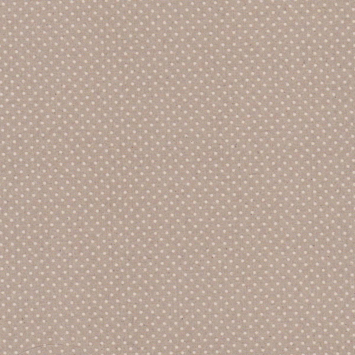 Poplin Bege Pintas Cru