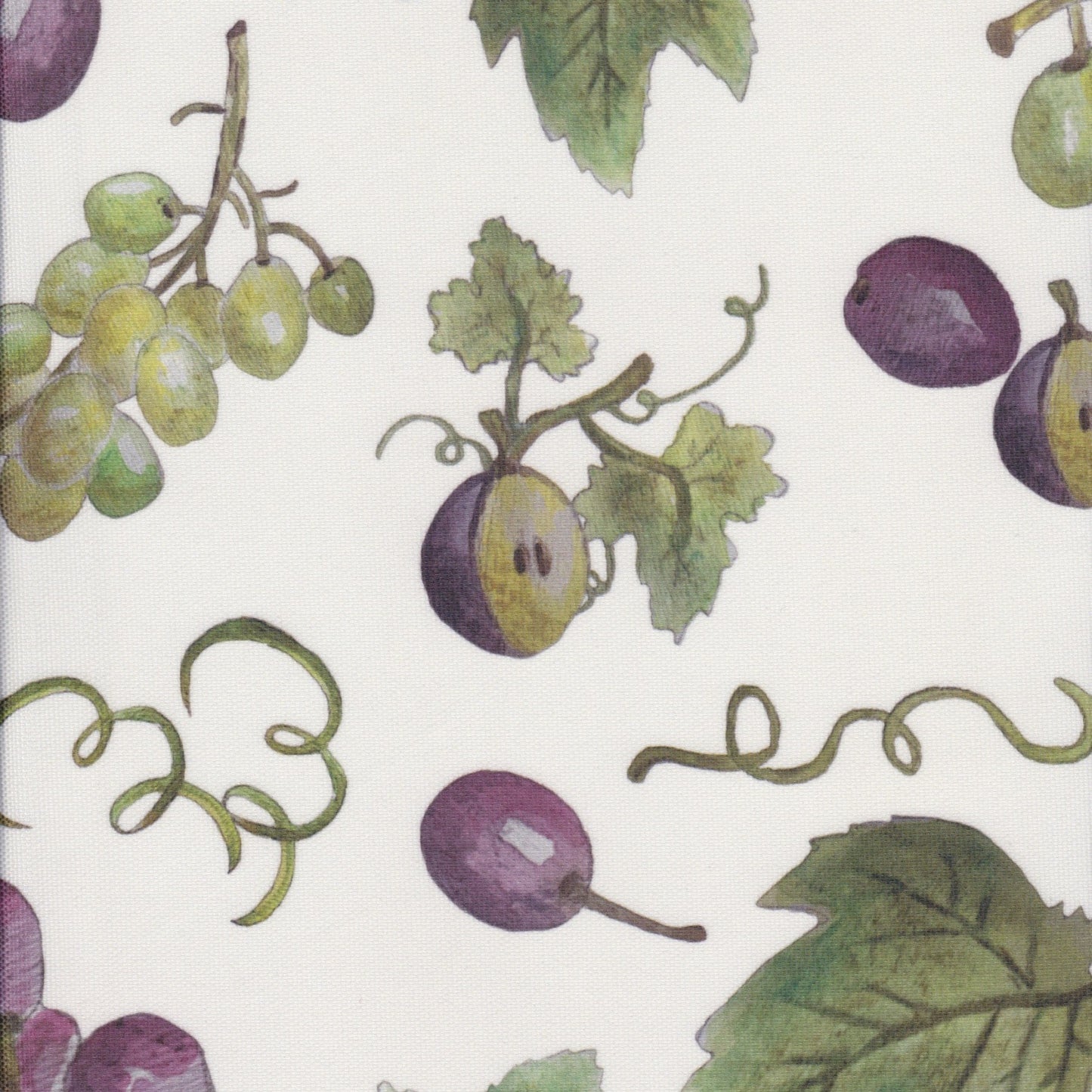 Tecido Anti-Nódoas Uvas