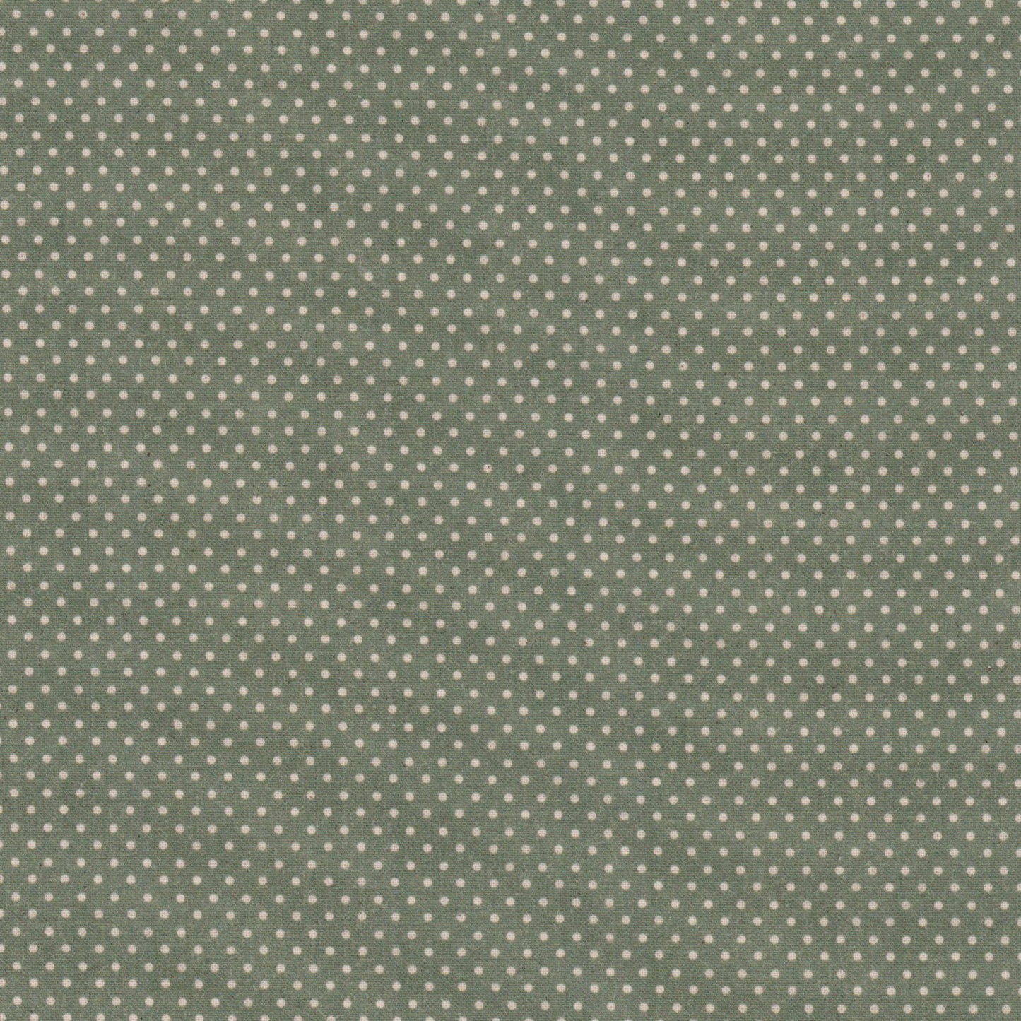 Poplin Verde Pintas Cru