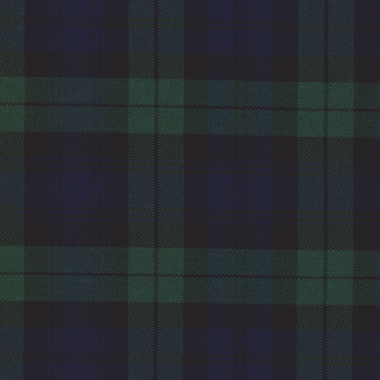 Tartan Pequeno Verde e Azul