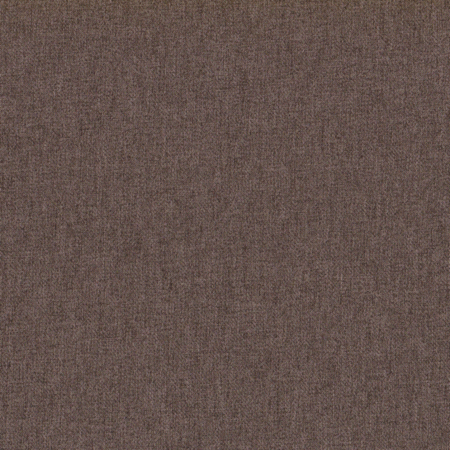 Sarja Terilene Castanho