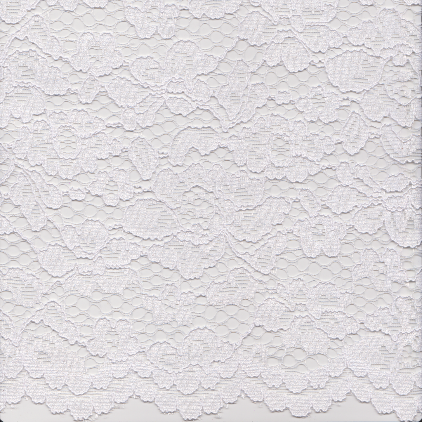 Renda Lace Branco