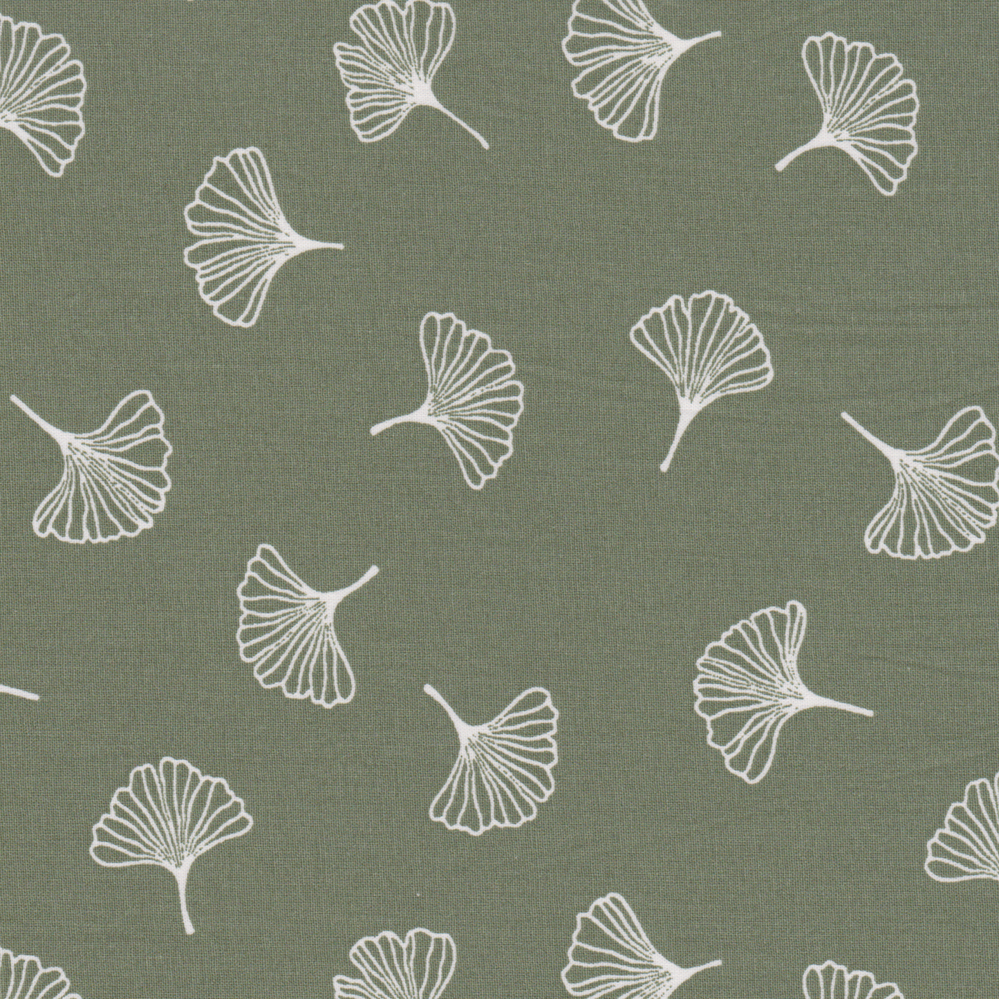 Poplin ginkgo