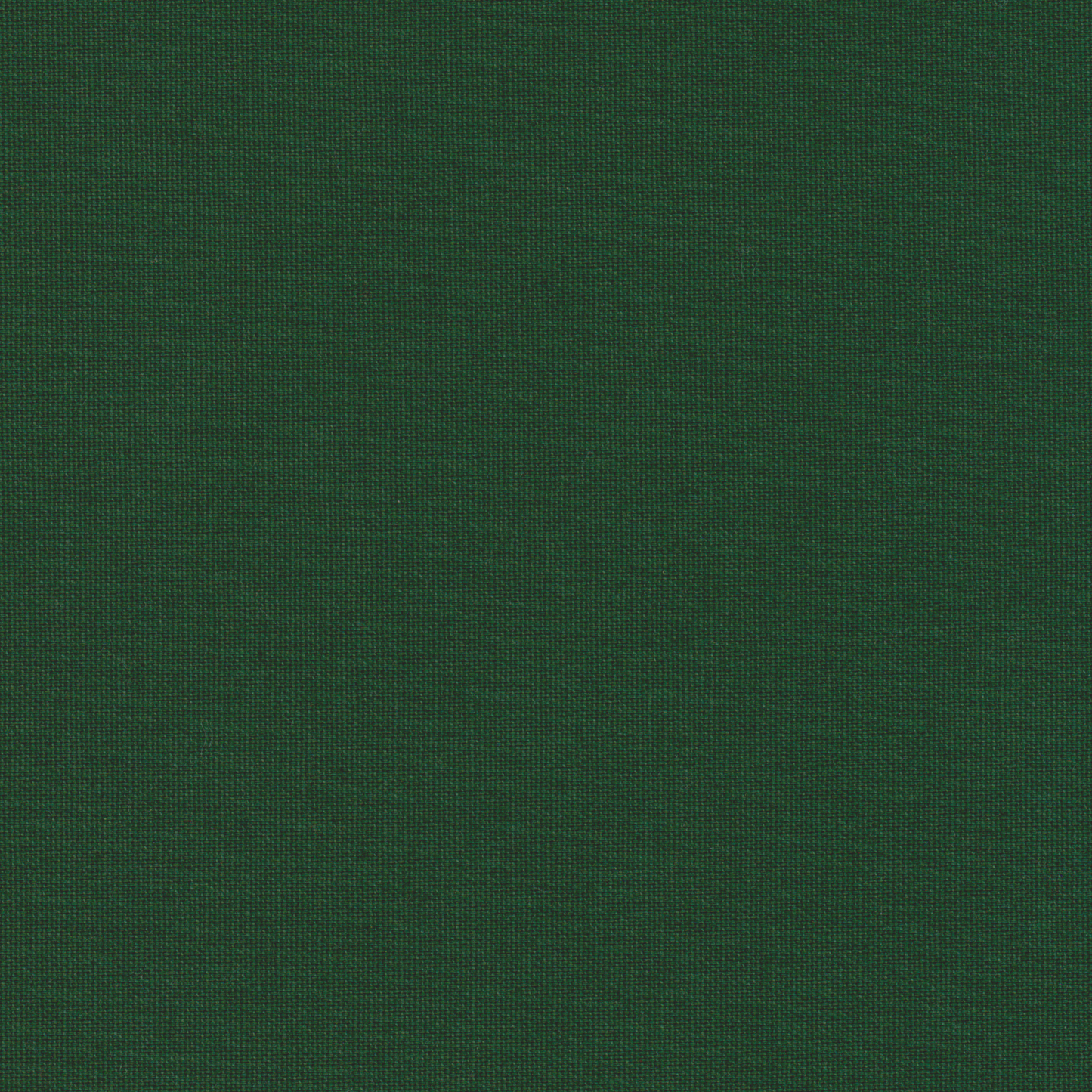 Canvas Verde Escuro