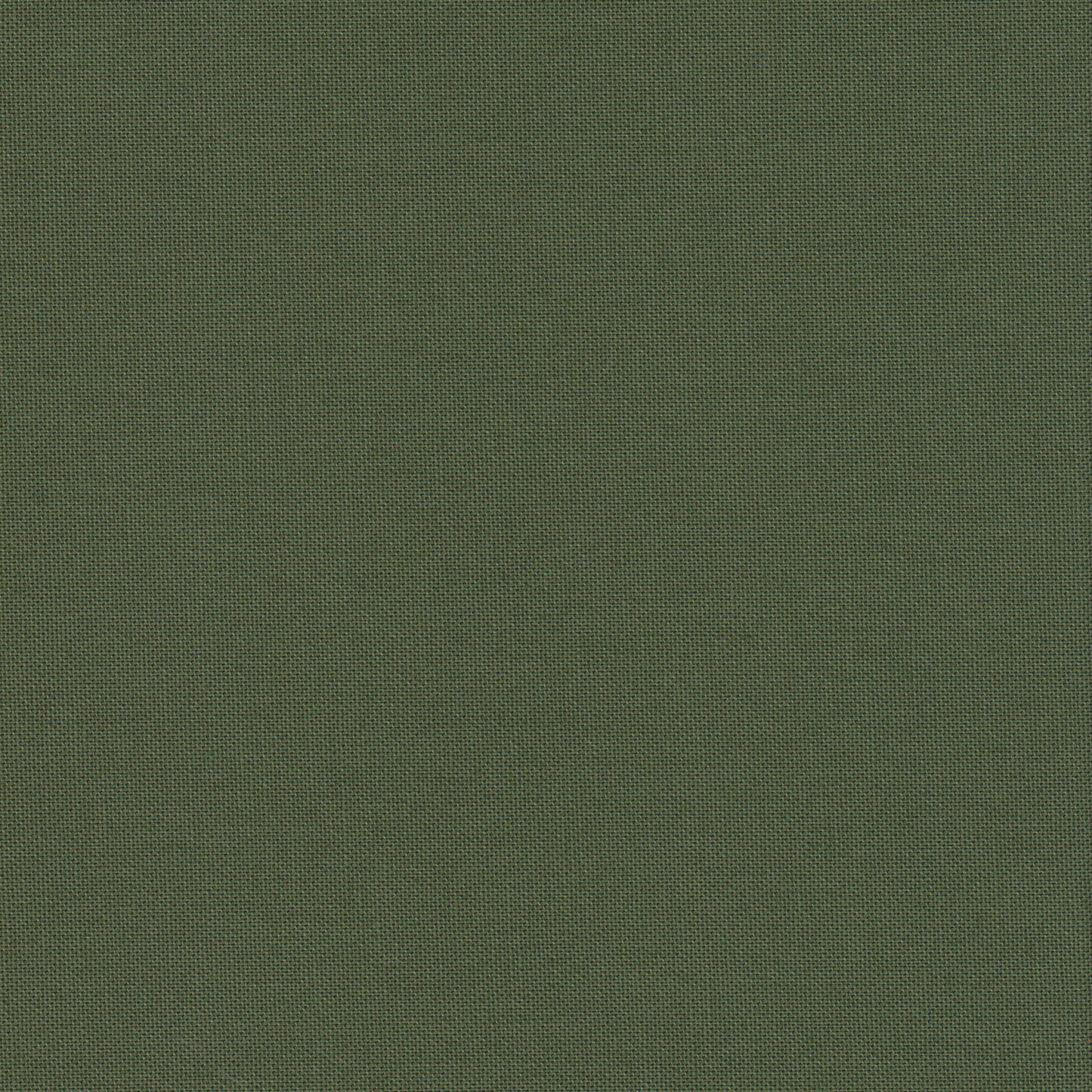 Canvas Verde Musgo