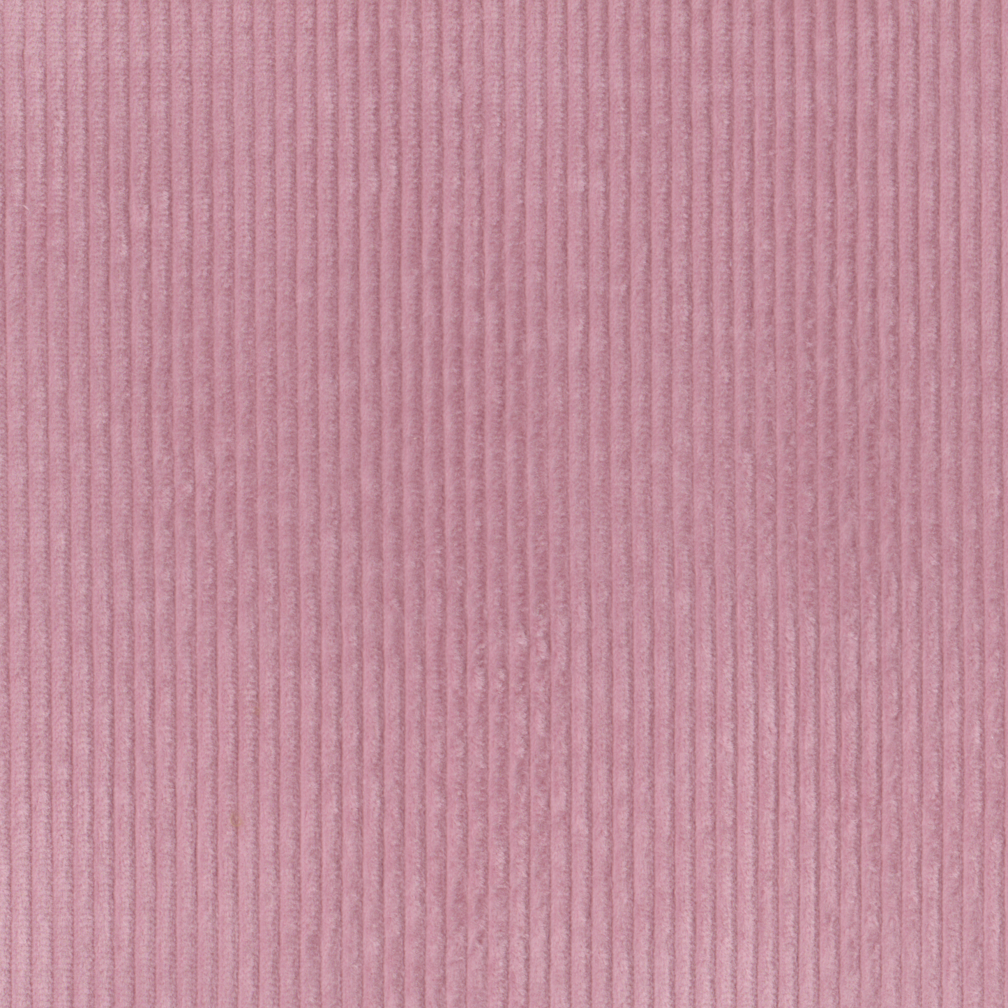 Bombazine Larga Rosa