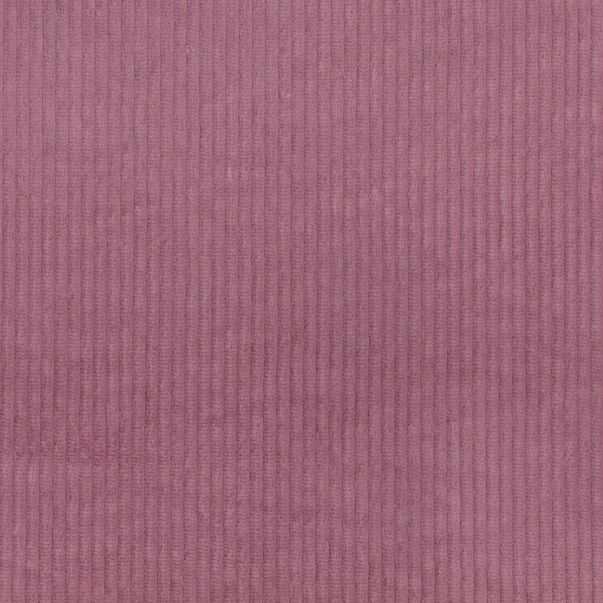 Bombazine Larga Rosa Velho