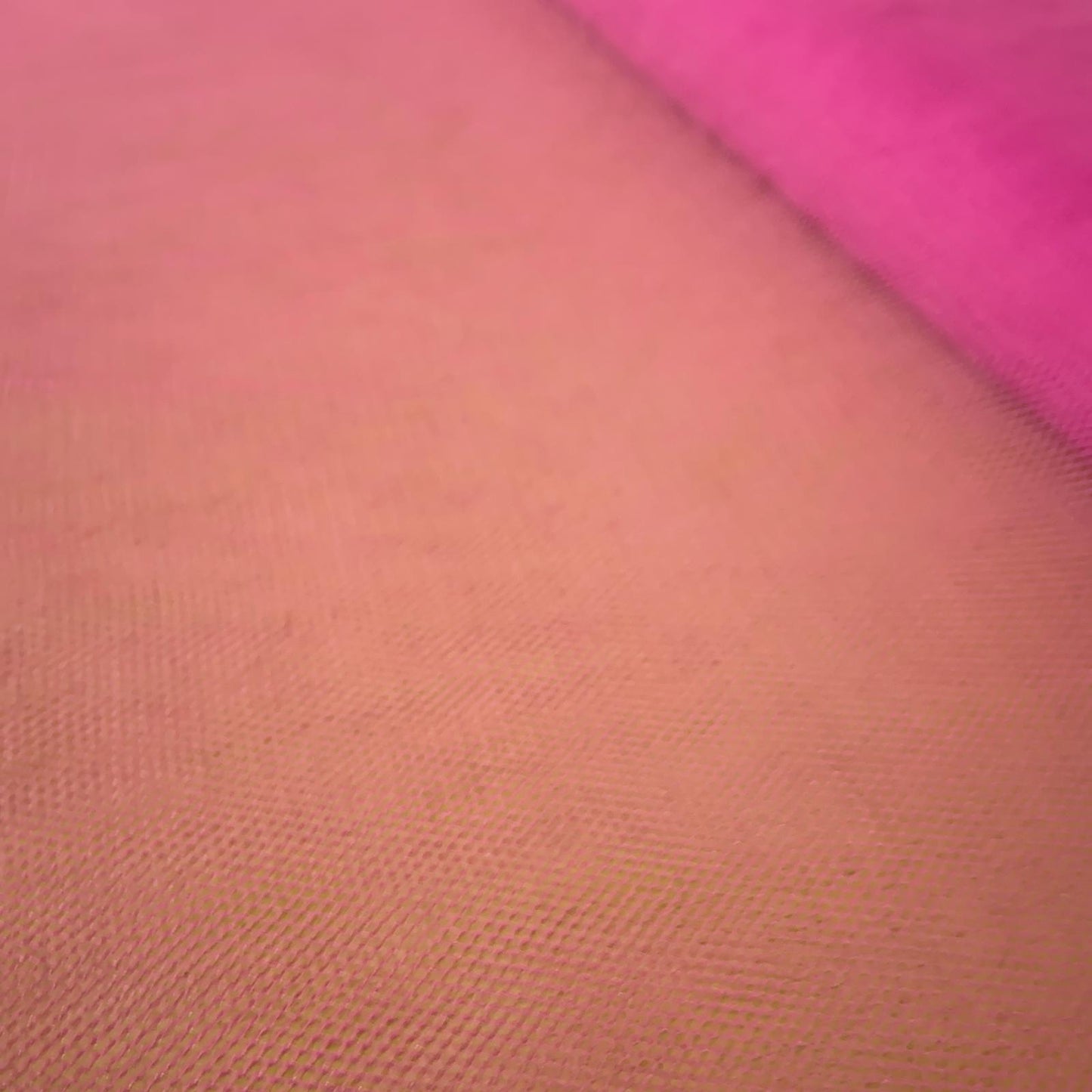 Tule Rosa