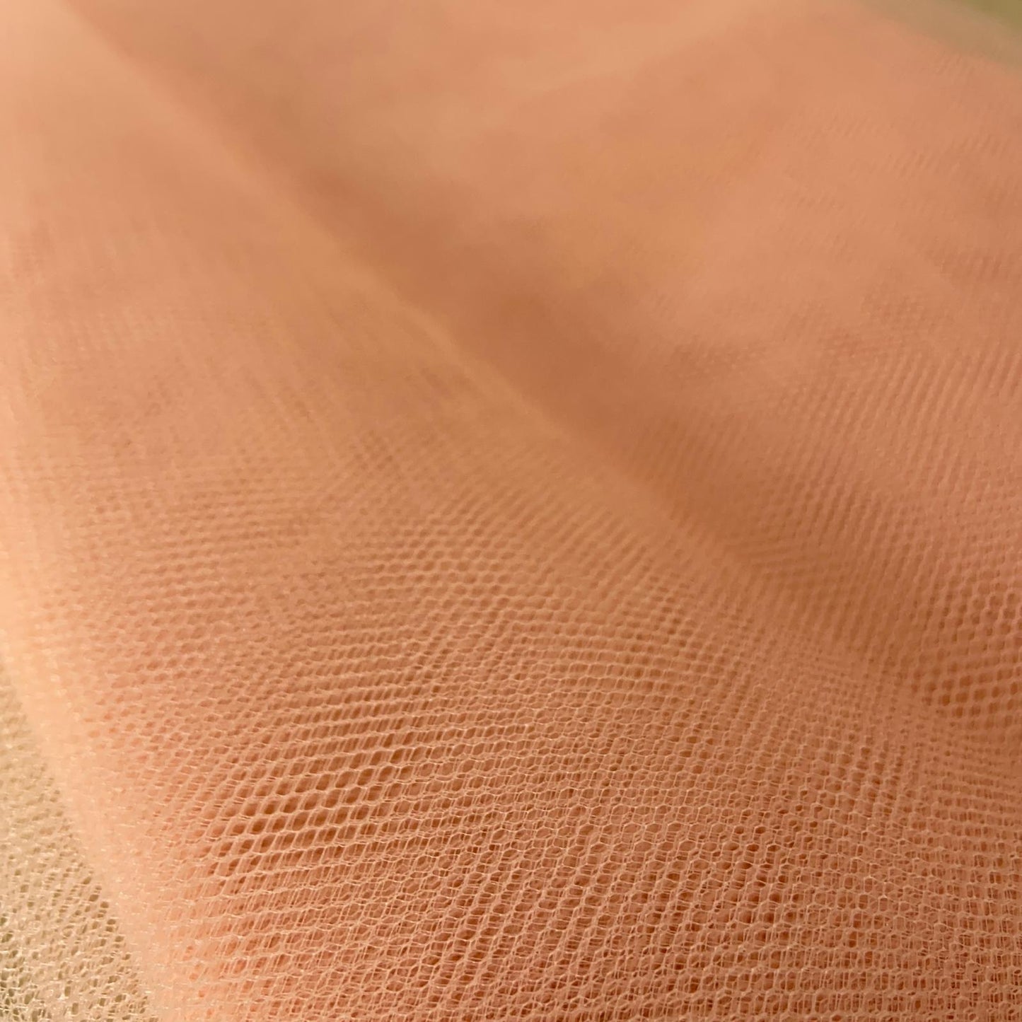 Tule Coral