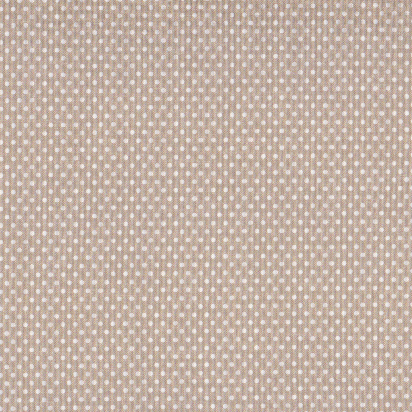 Poplin Pintinhas Branco com Bege
