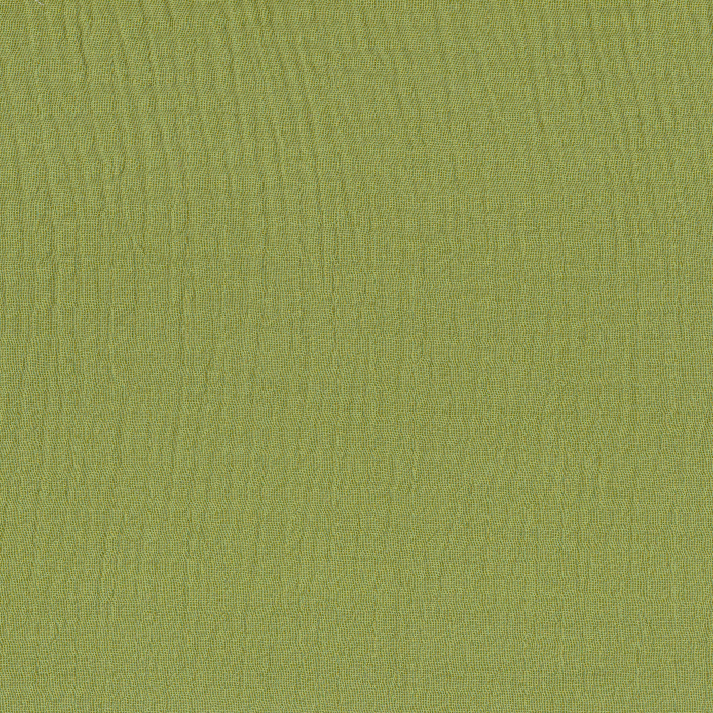 Musselina Verde Musgo