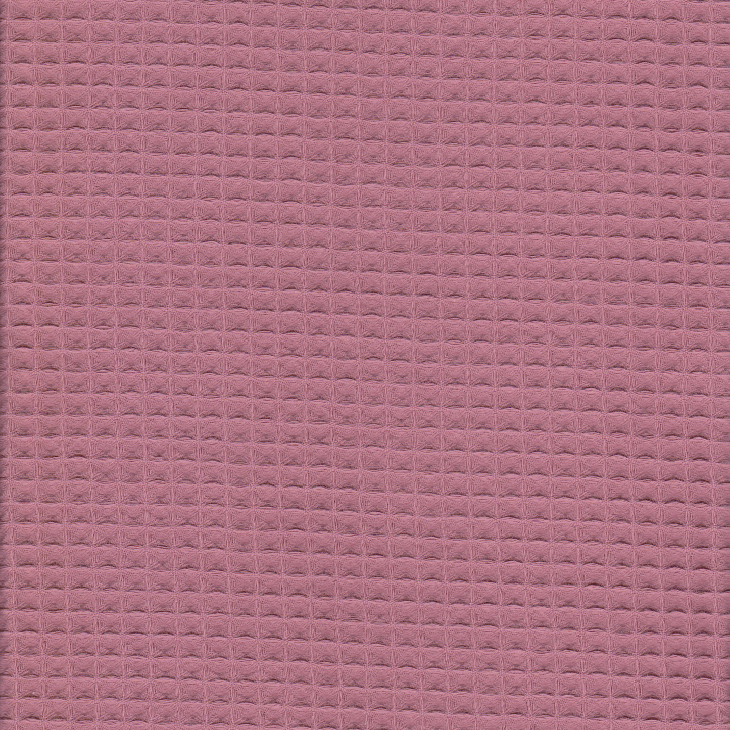 Waffle Malva