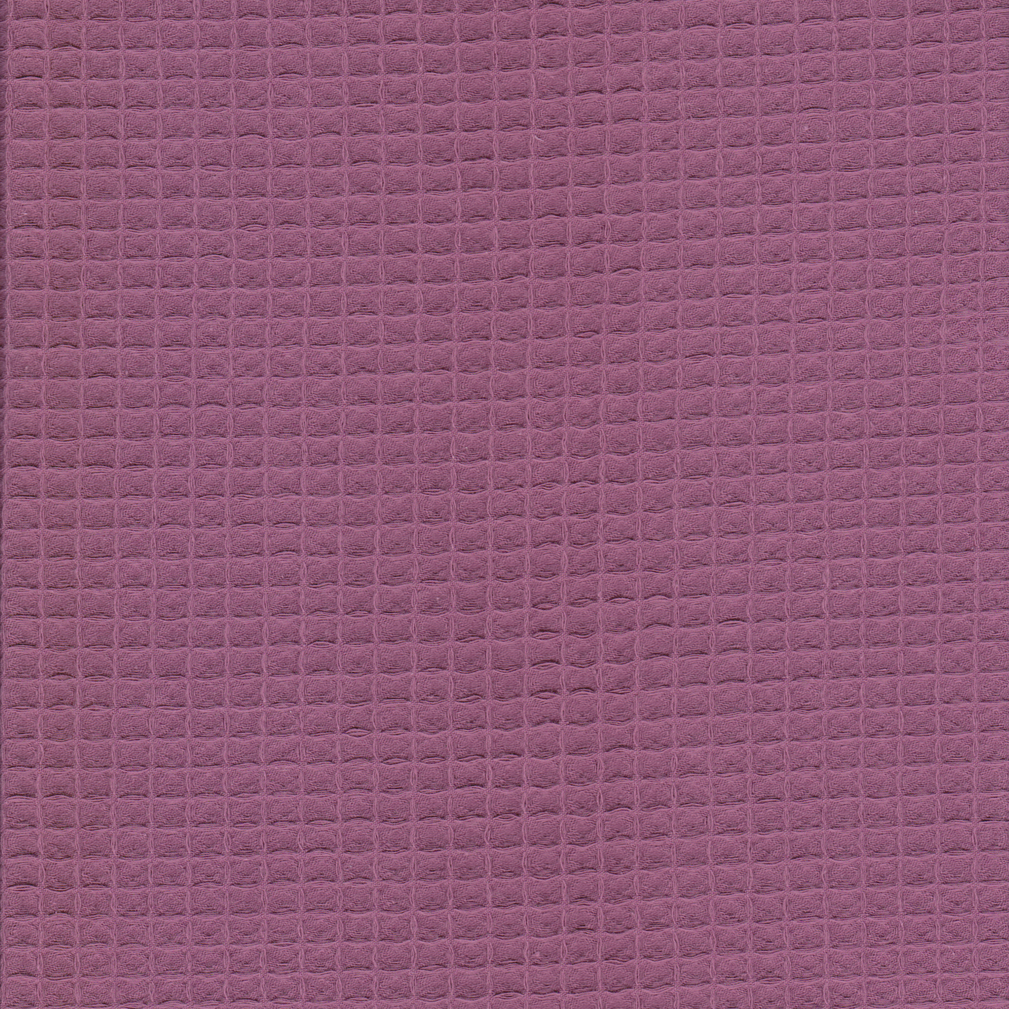 Waffle Malva 15