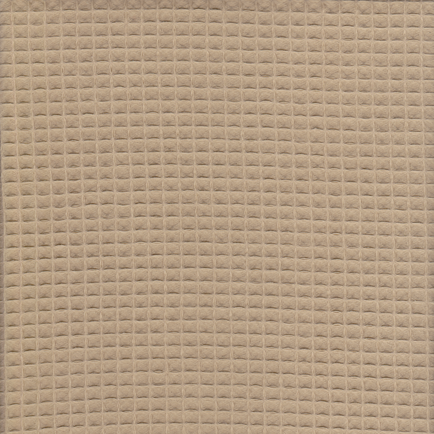Waffle Camel 32