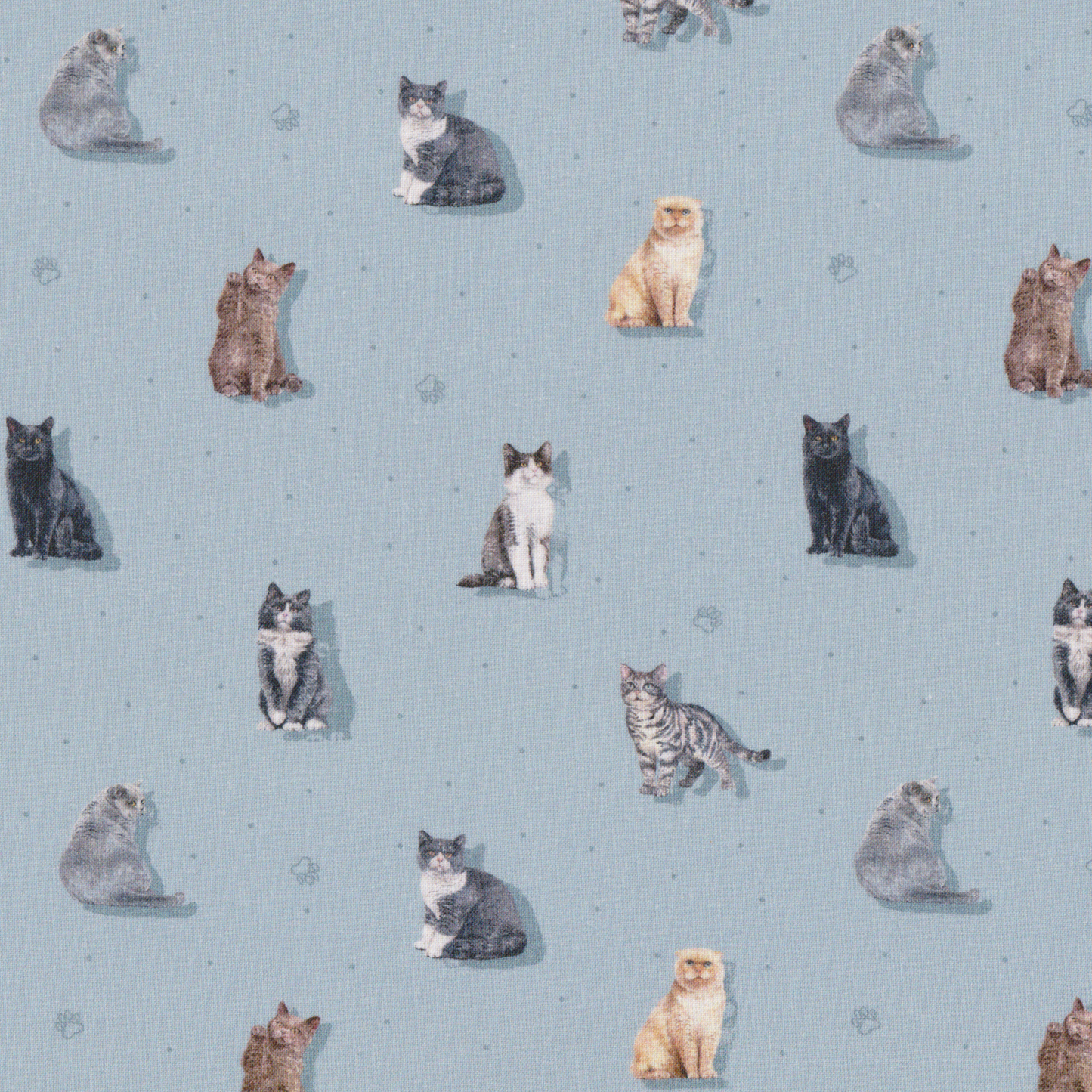 Poplin Gatinhos Azul
