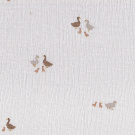 Musselina Patinhos