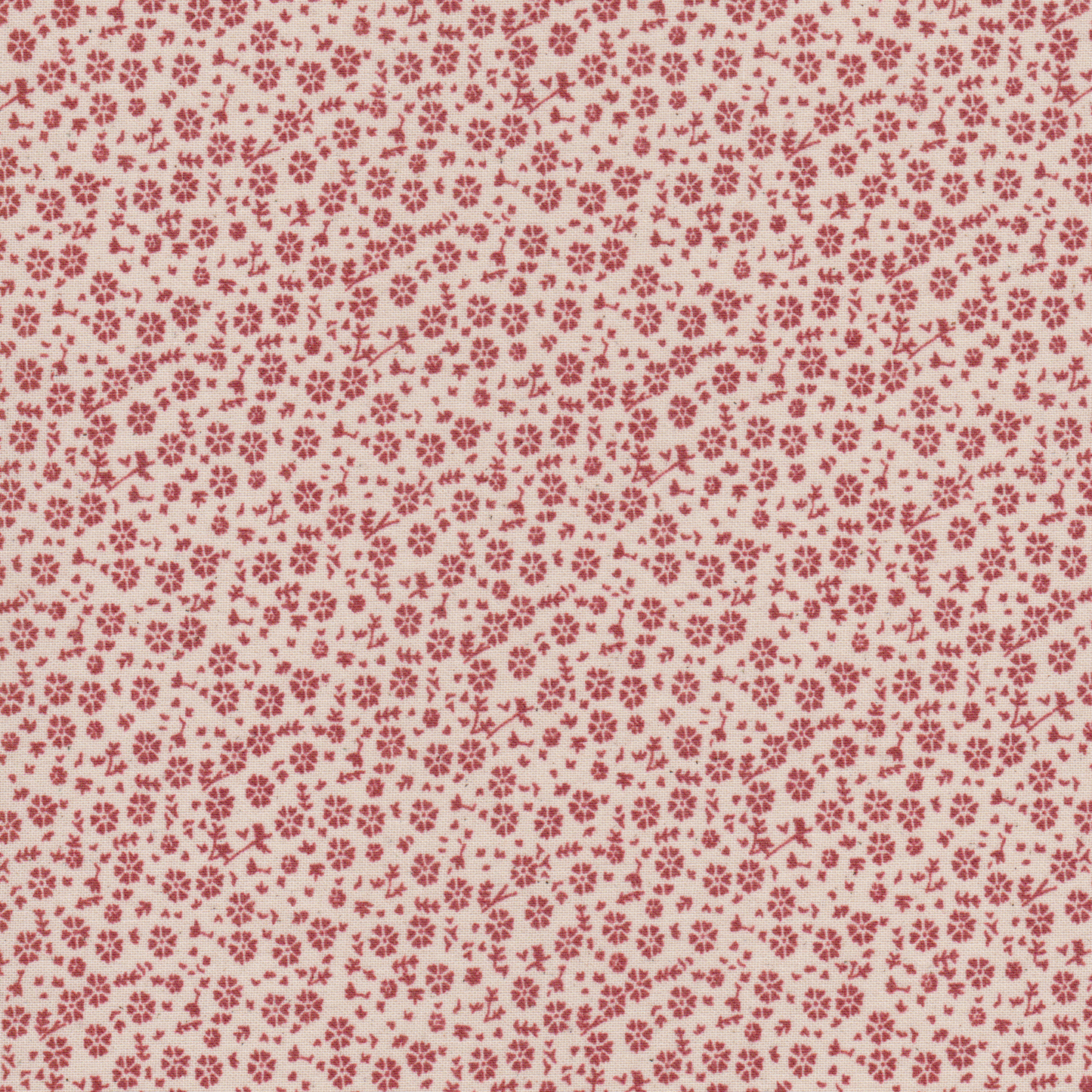 Poplin Cru Flores Rosa