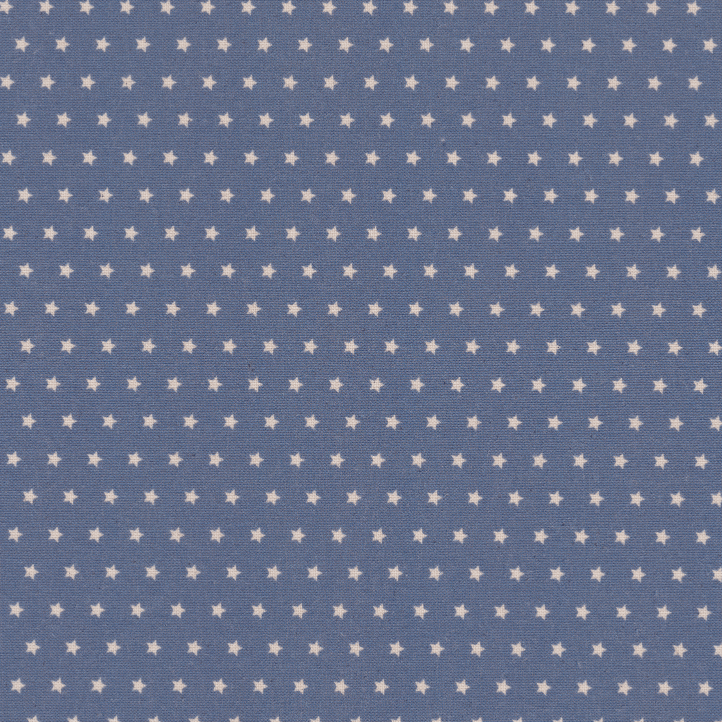 Poplin Azul com Estrelas Cru