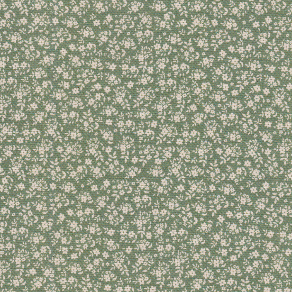 Poplin Verde Flores e Ramos Cru