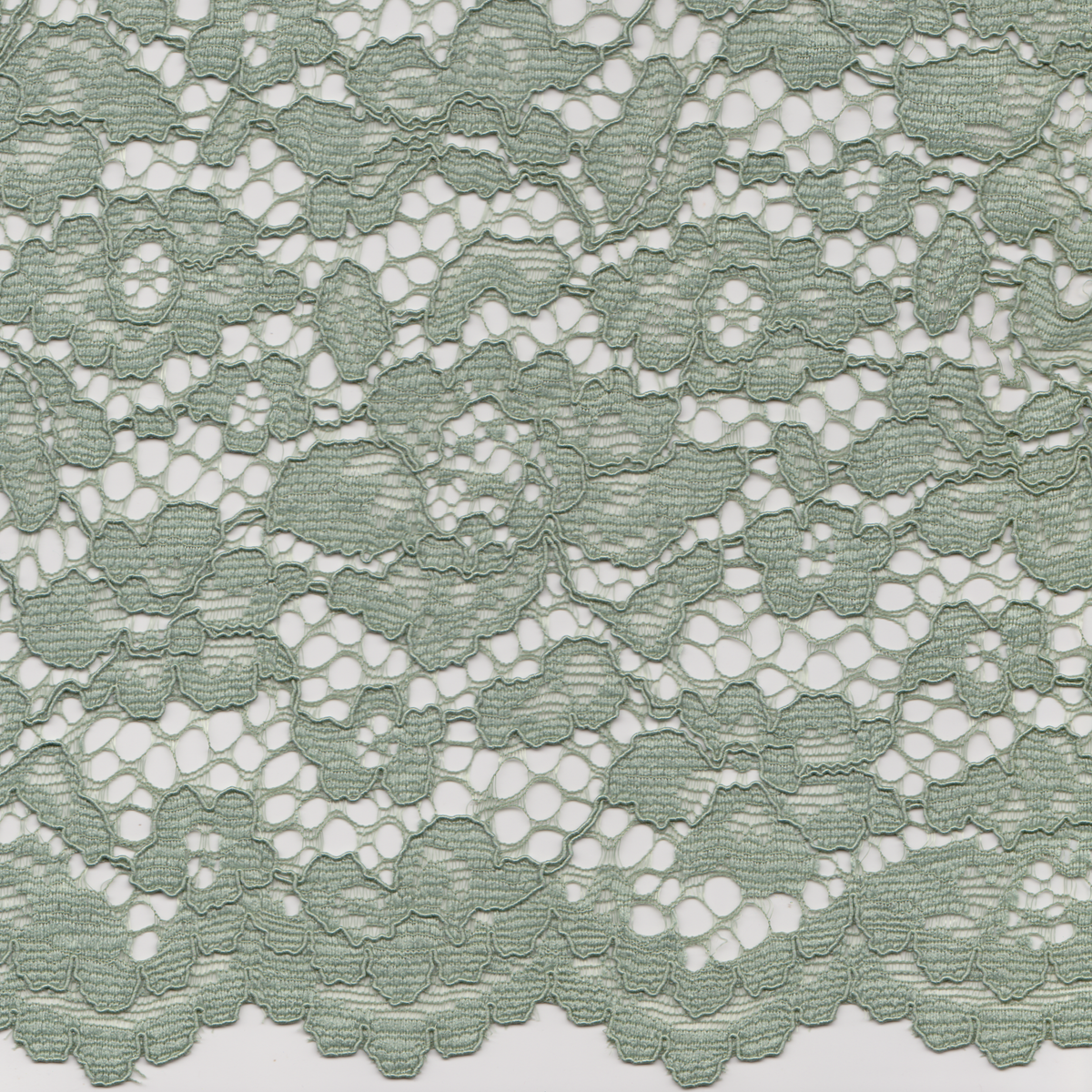 Renda Lace Verde Seco