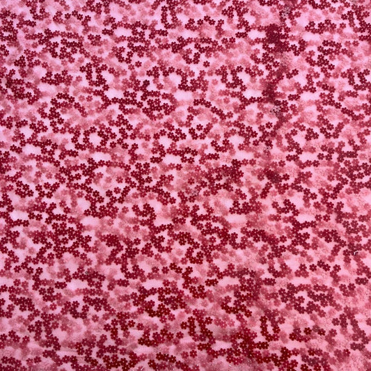 Lantejoulas Coral Flores
