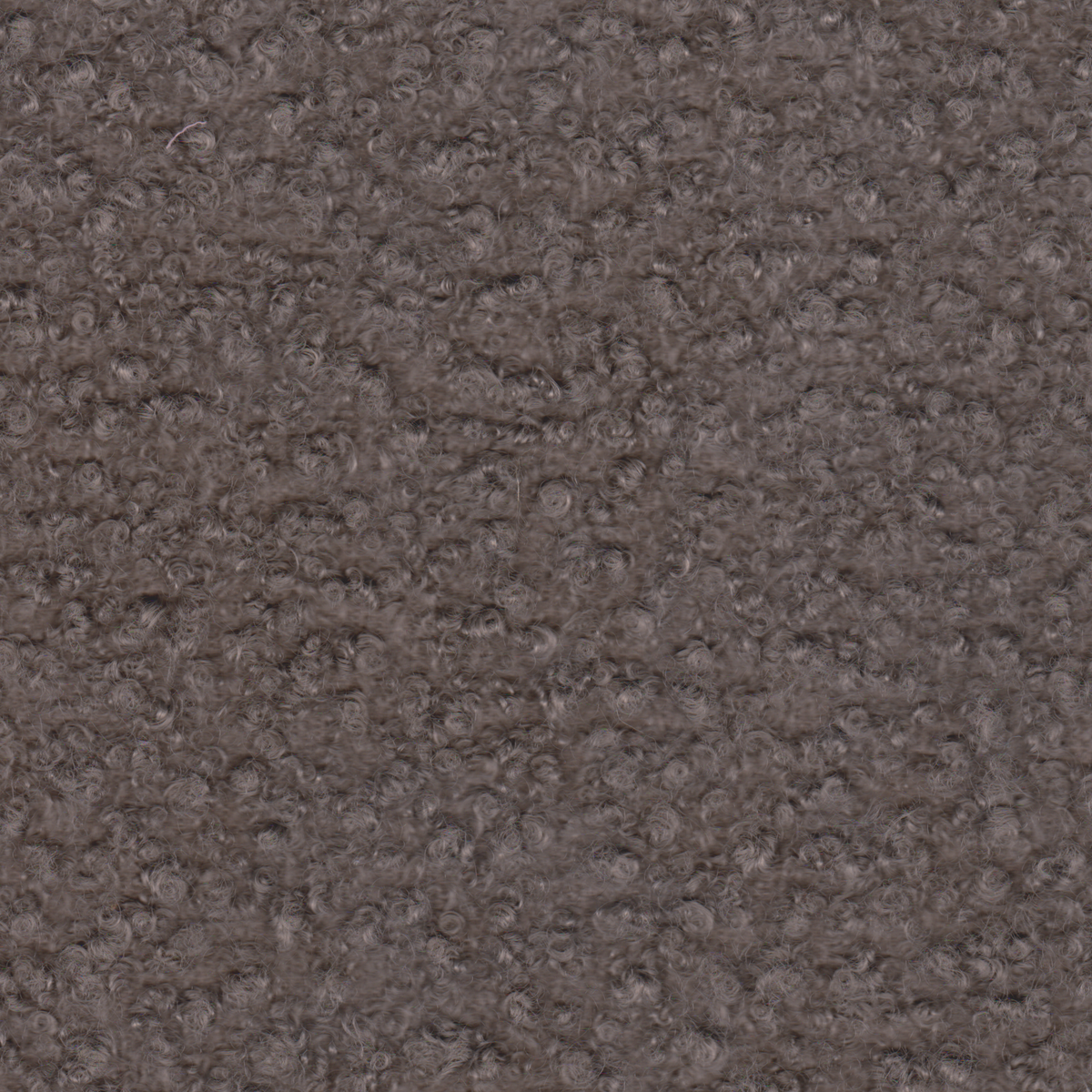 Boucle Bege Acinzentado