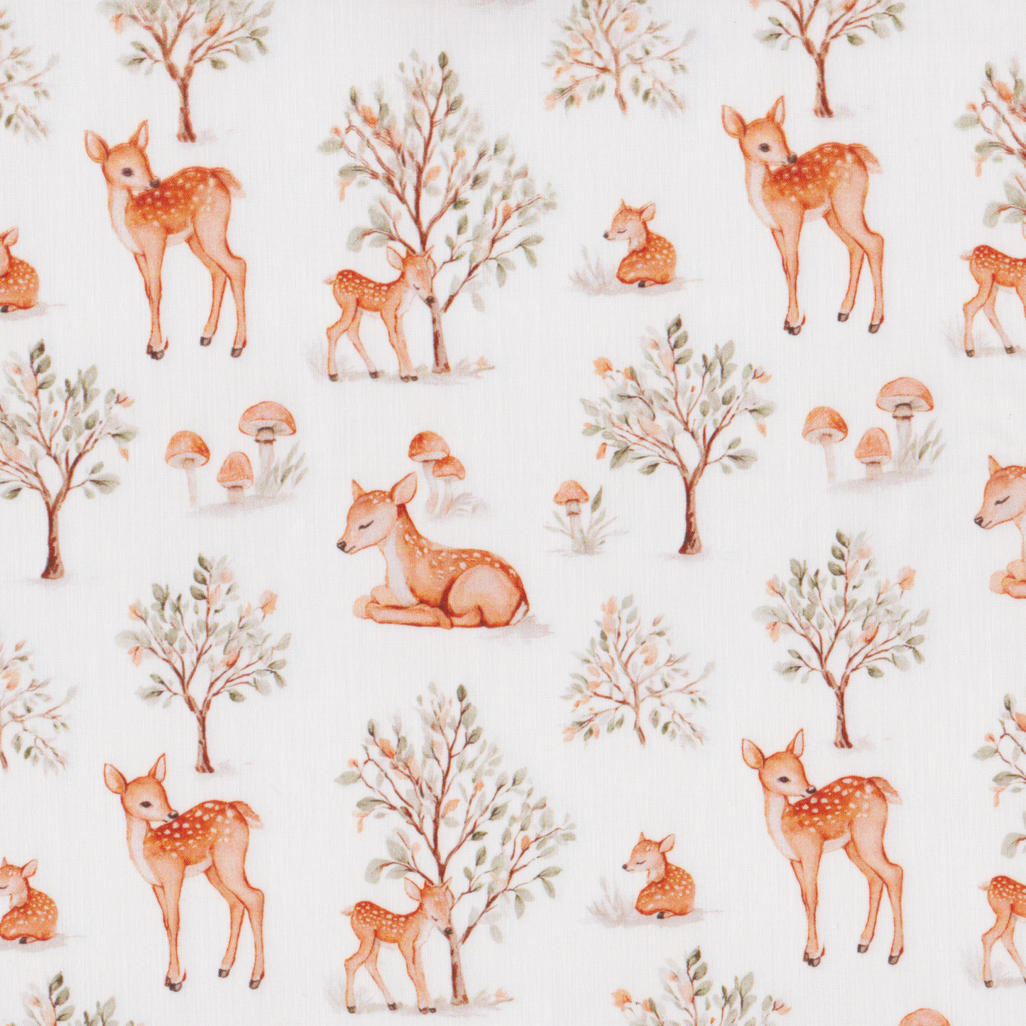 Poplin Bambis