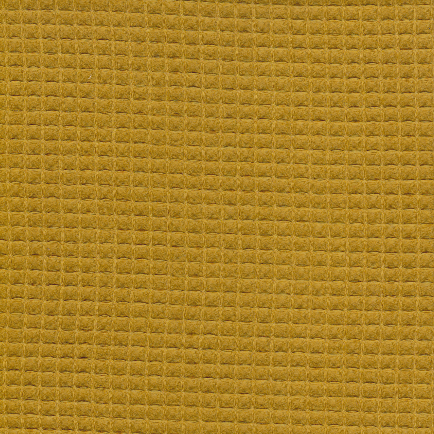 Waffle Mostarda 33