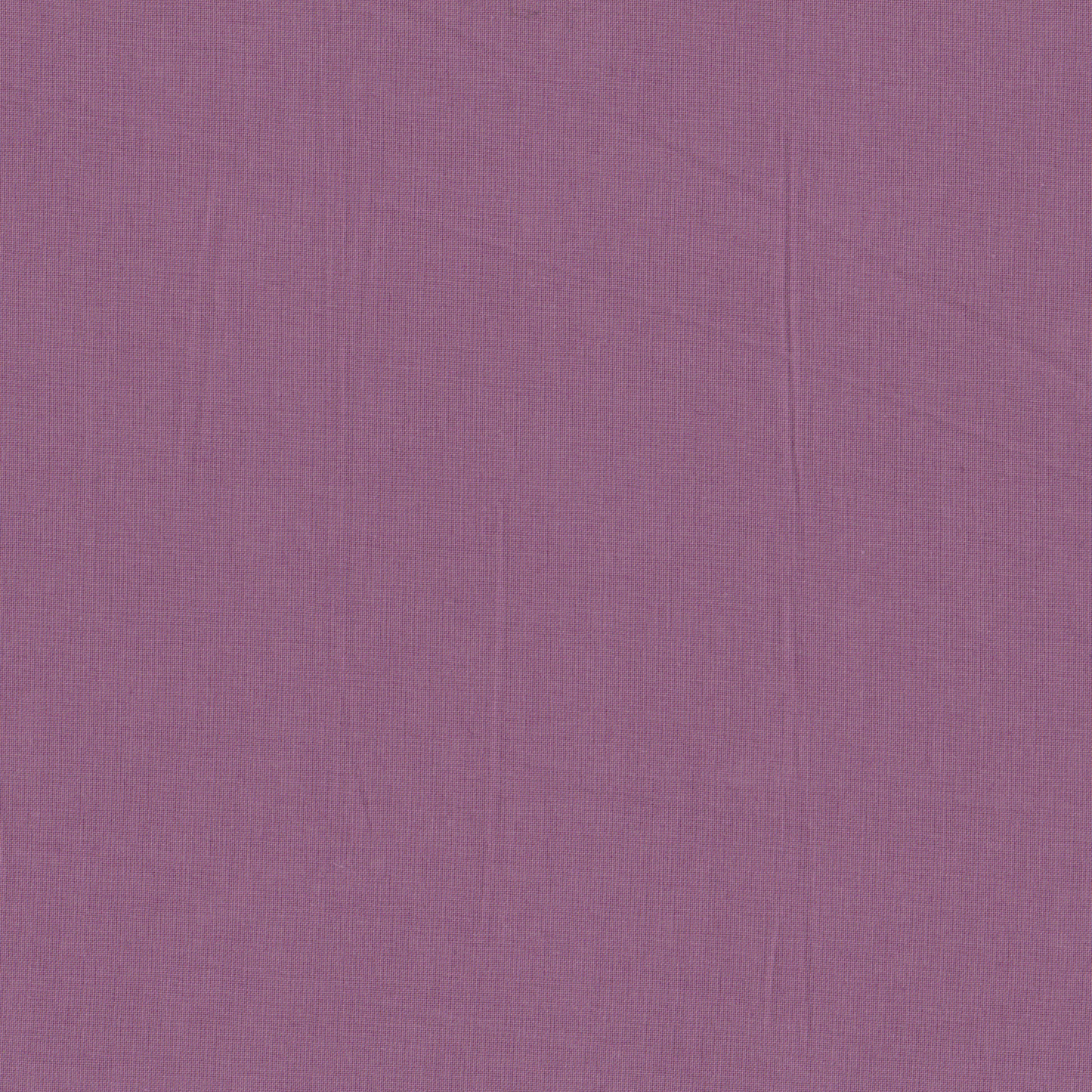 Poplin Malva 85