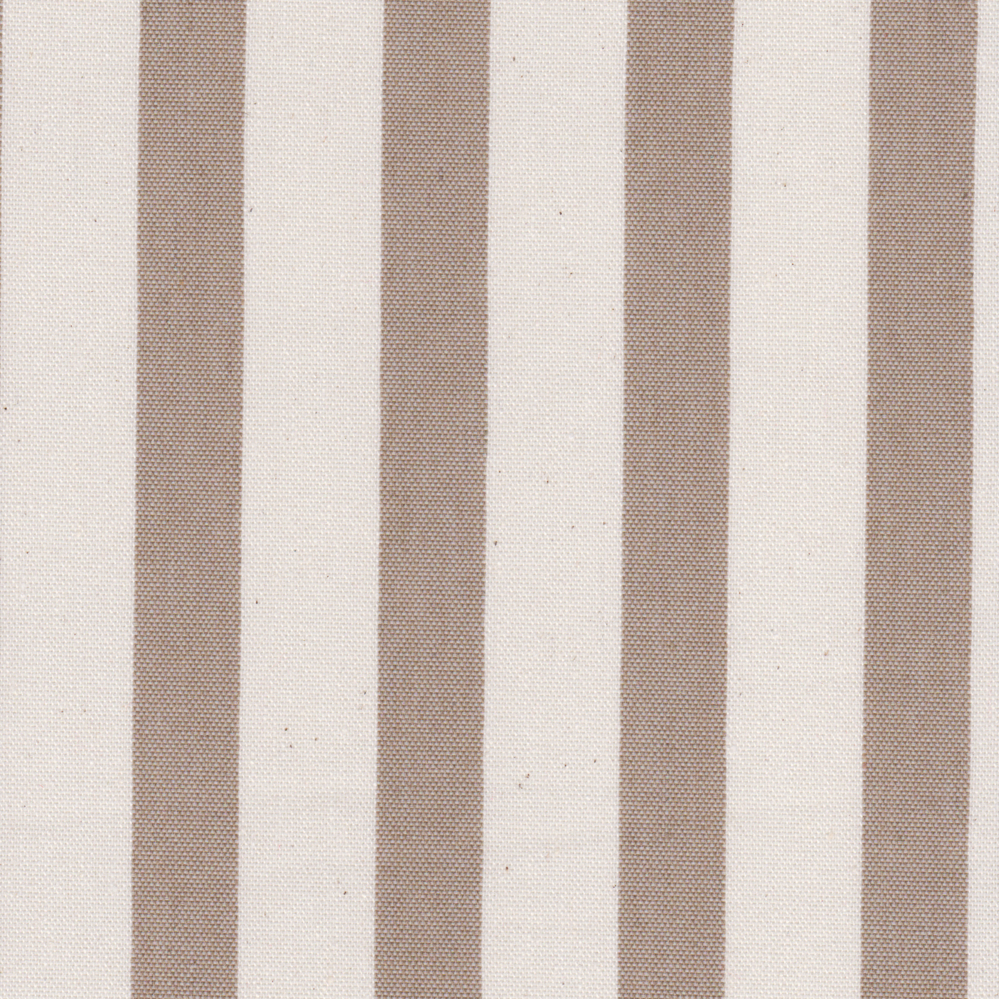 Loneta Riscas Largas Bege